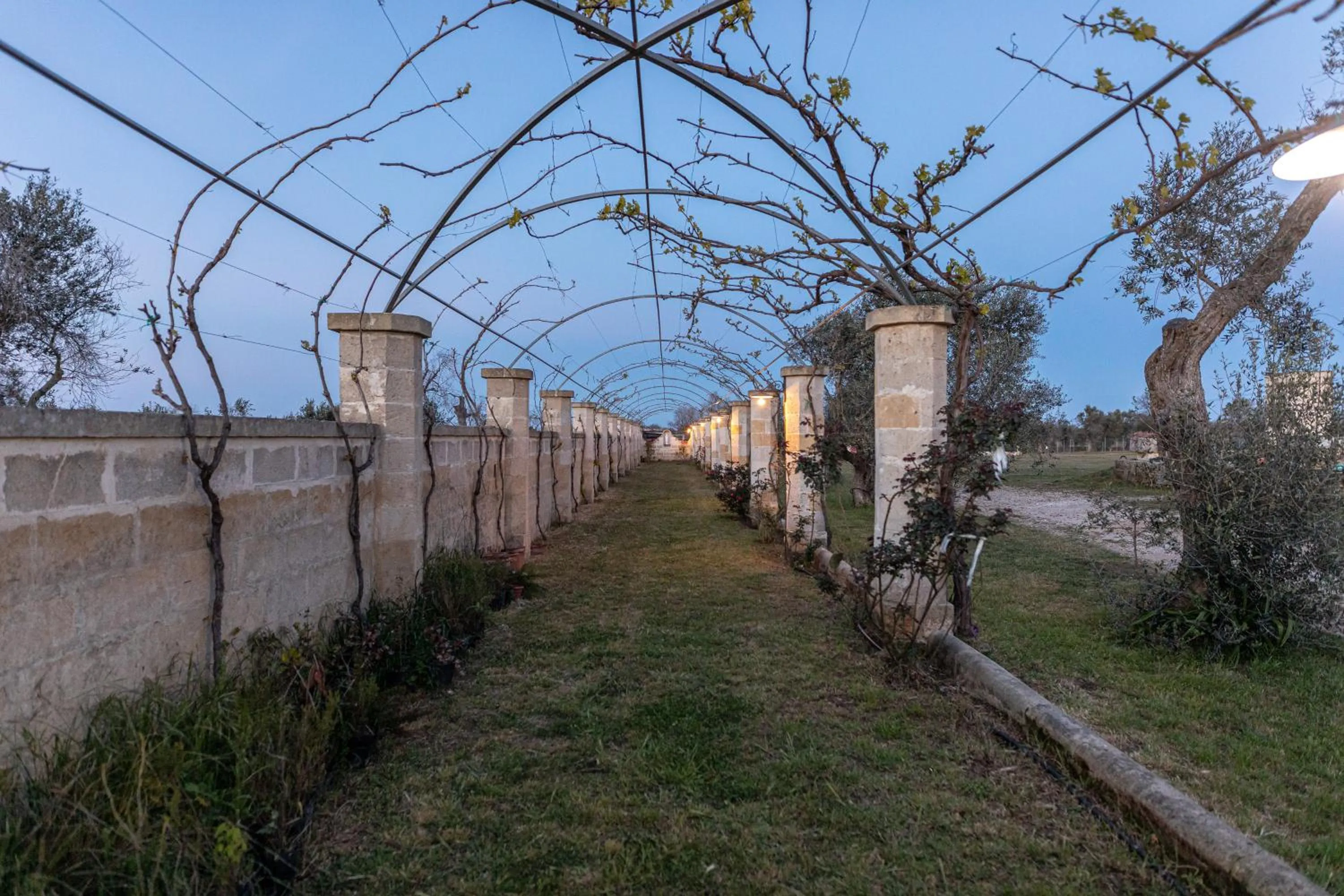Garden in Relais Borgo Segine