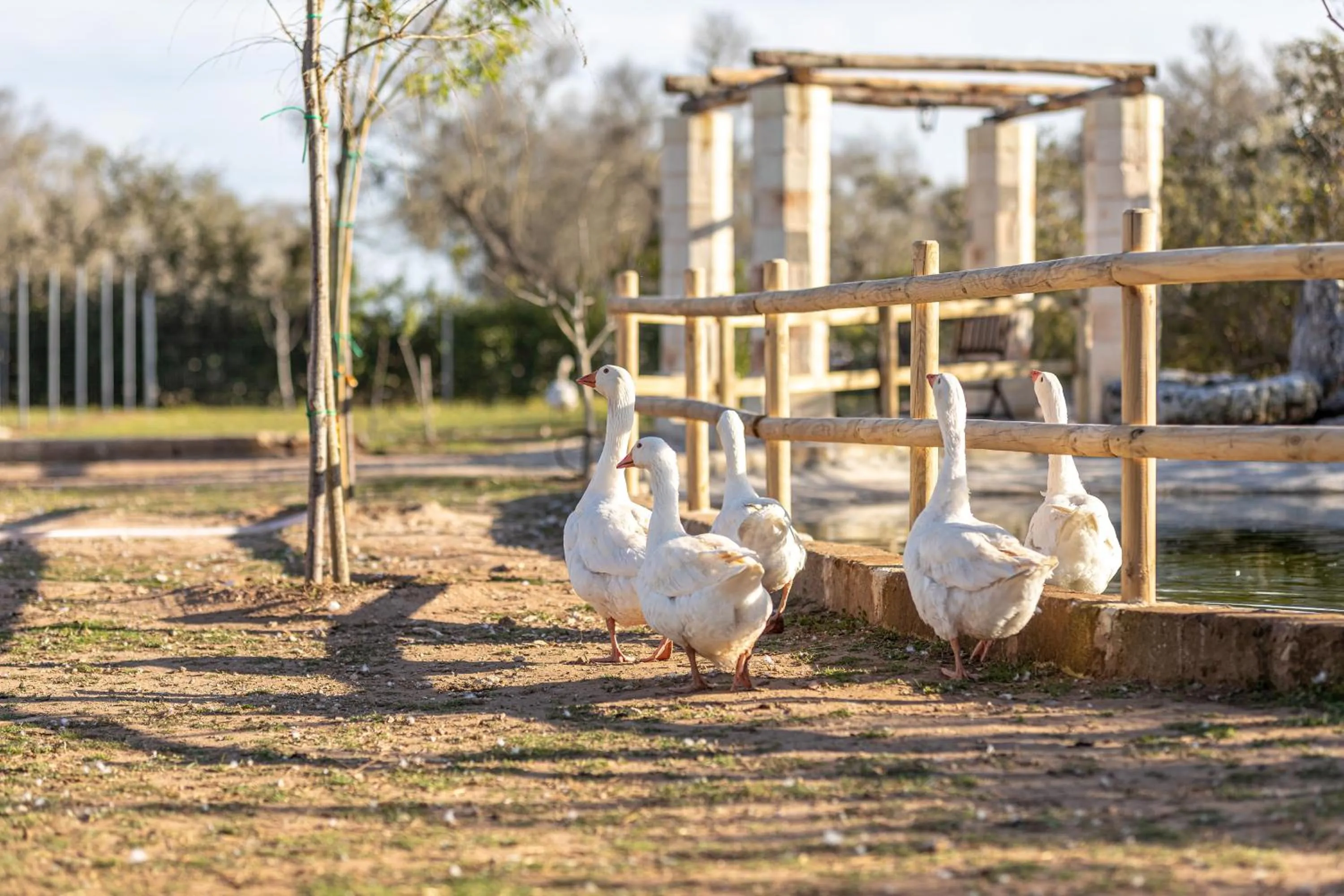 Animals in Relais Borgo Segine