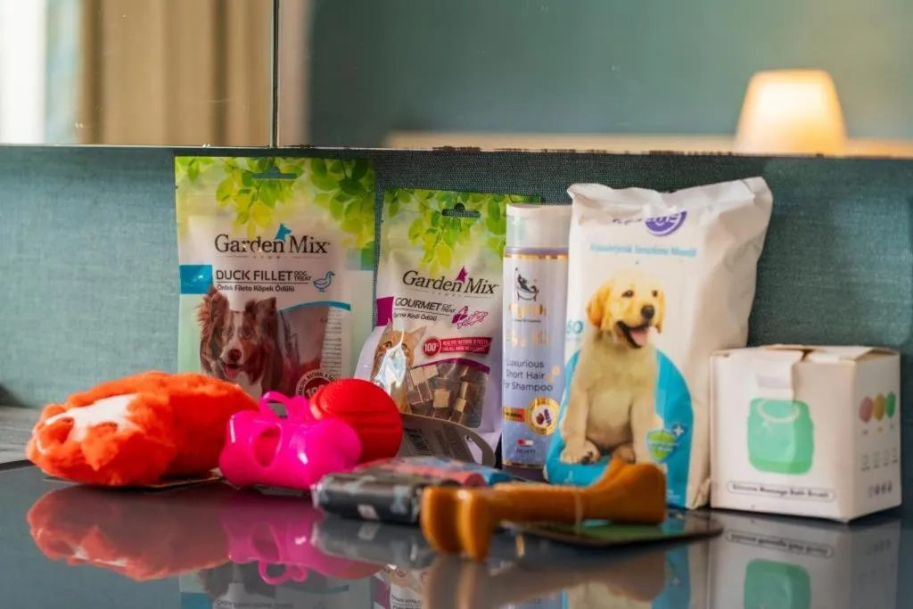 Living room in Castival Hotel