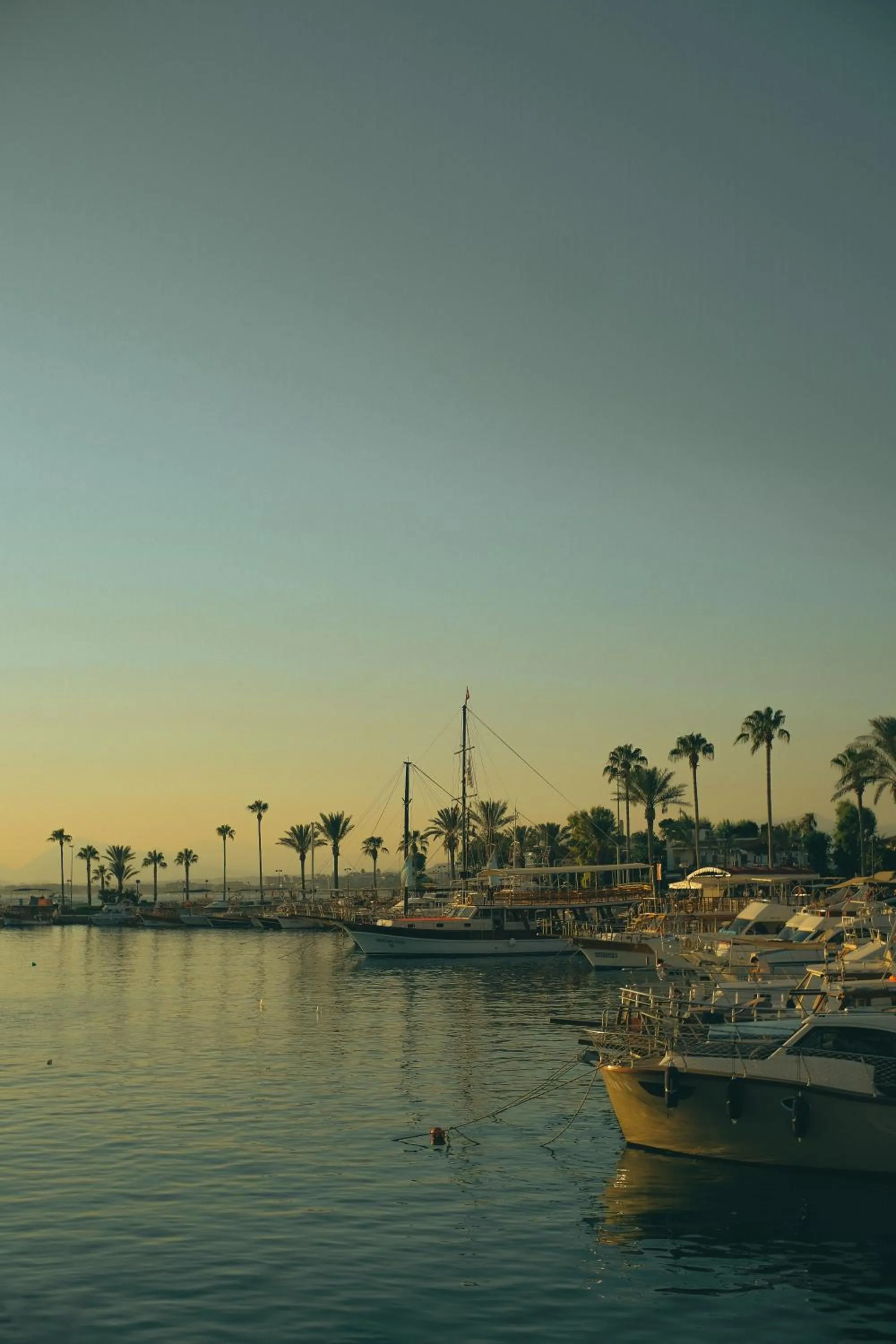 Other in Castival Hotel