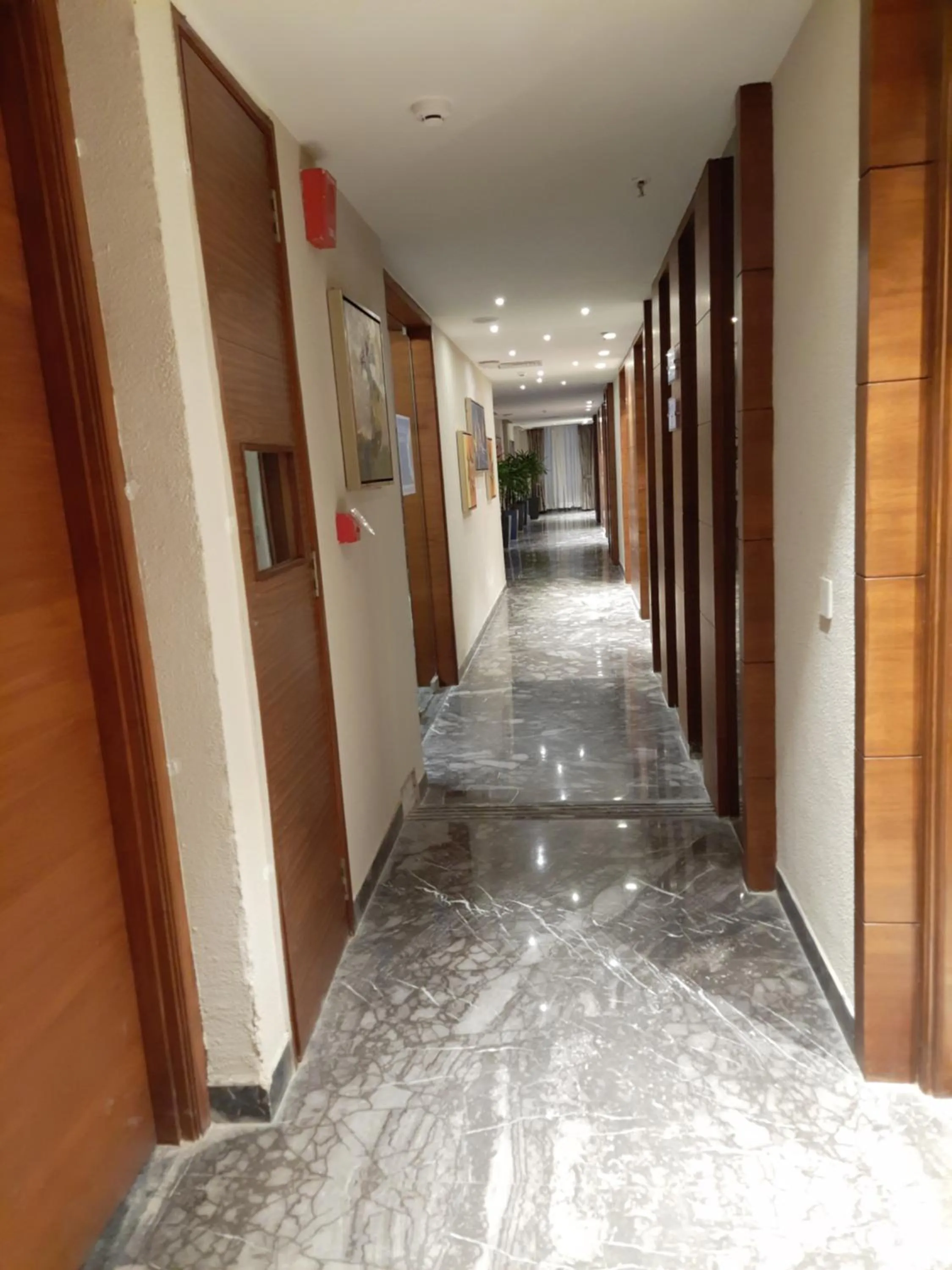 Guests in Jay Clarks Exotica