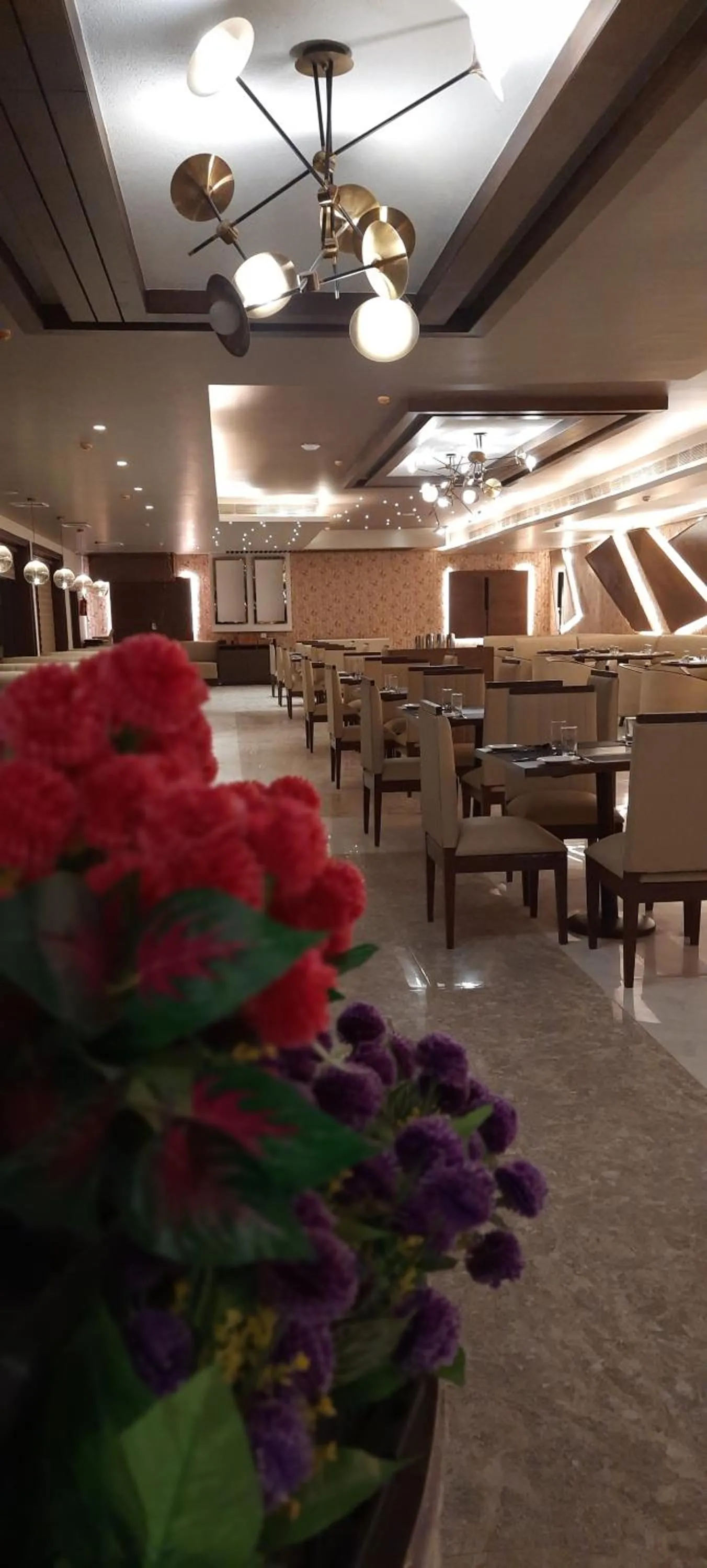 Restaurant/places to eat in Jay Clarks Exotica