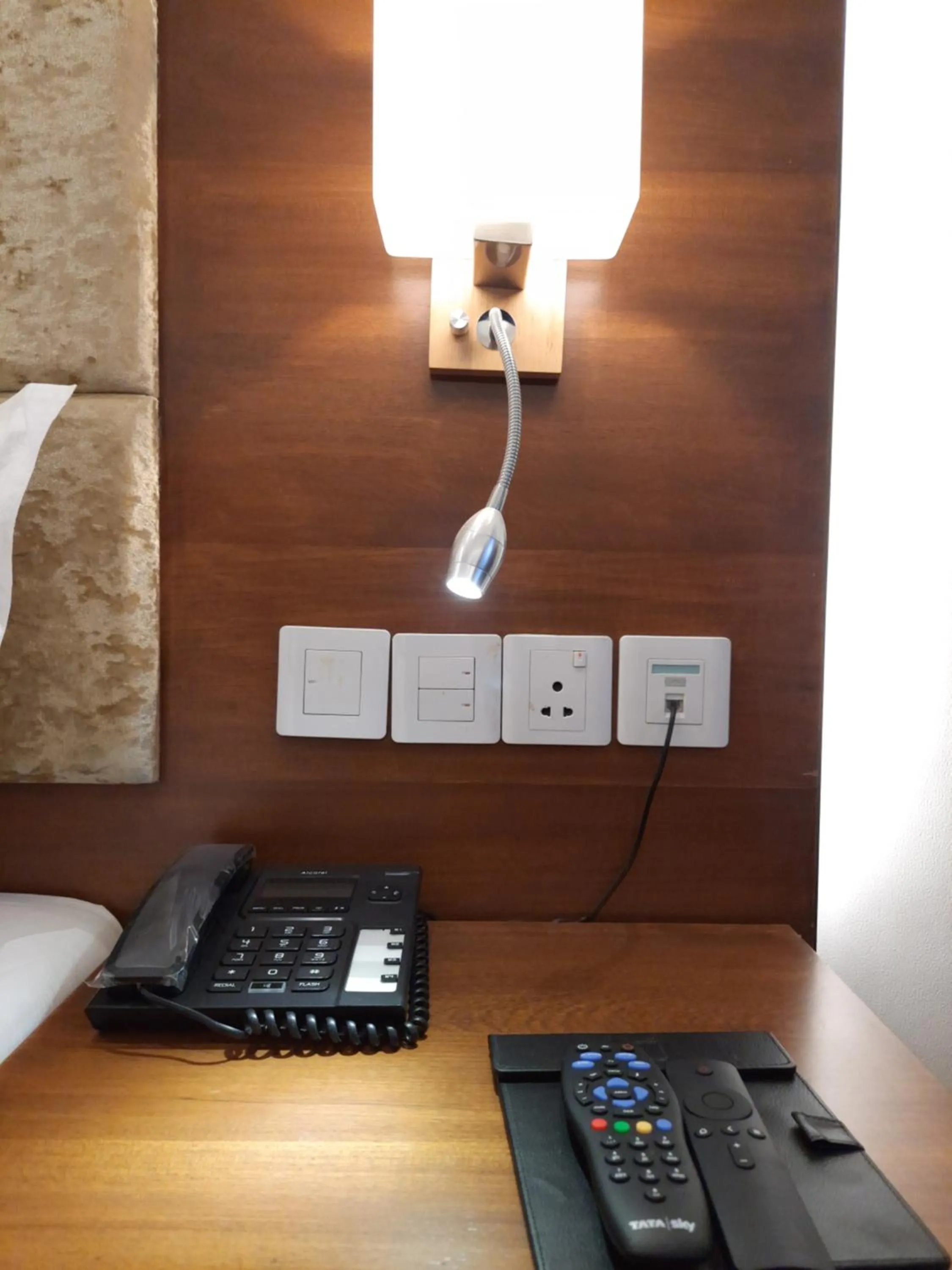 Area and facilities in Jay Clarks Exotica