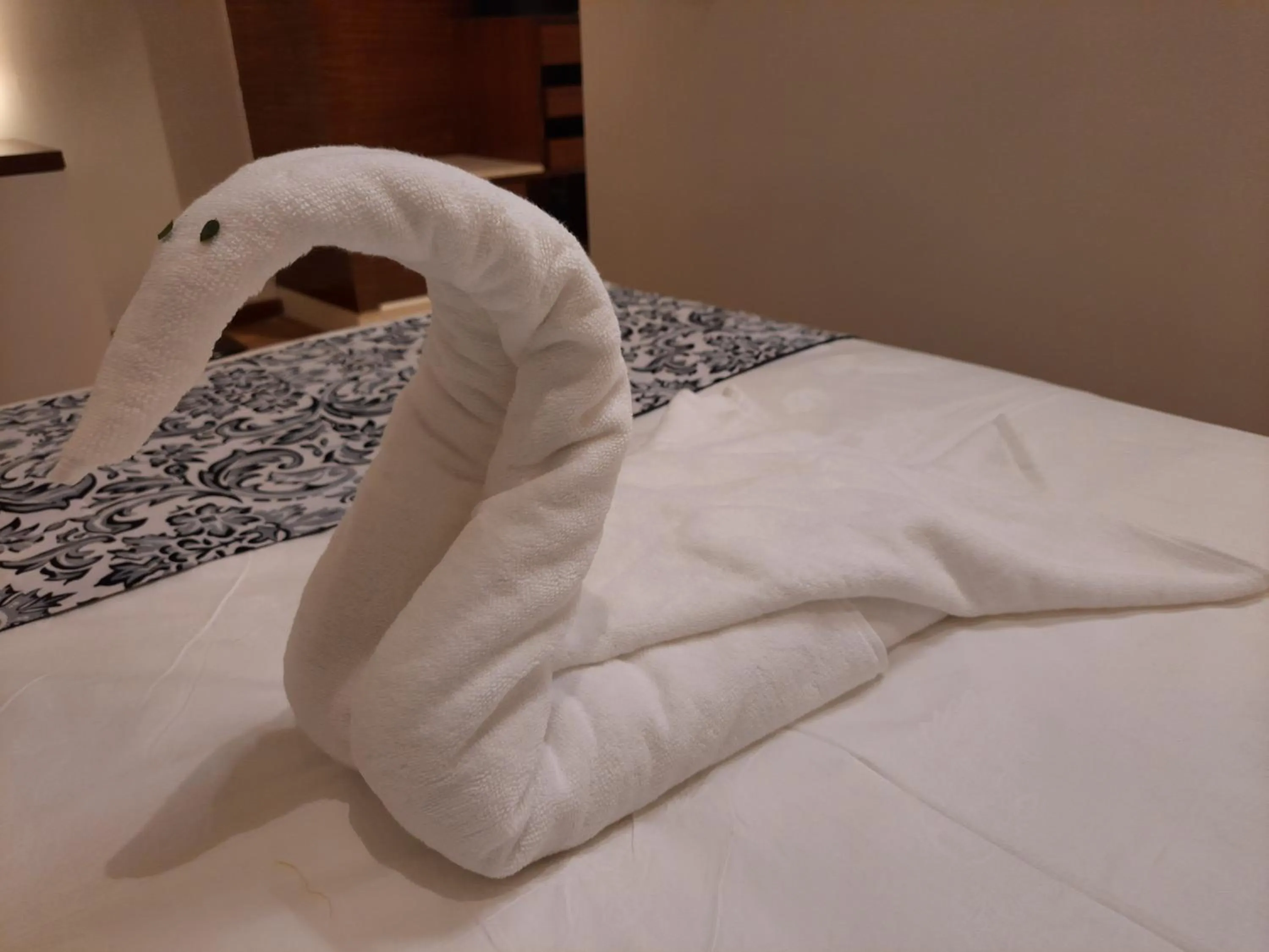 Bed in Jay Clarks Exotica