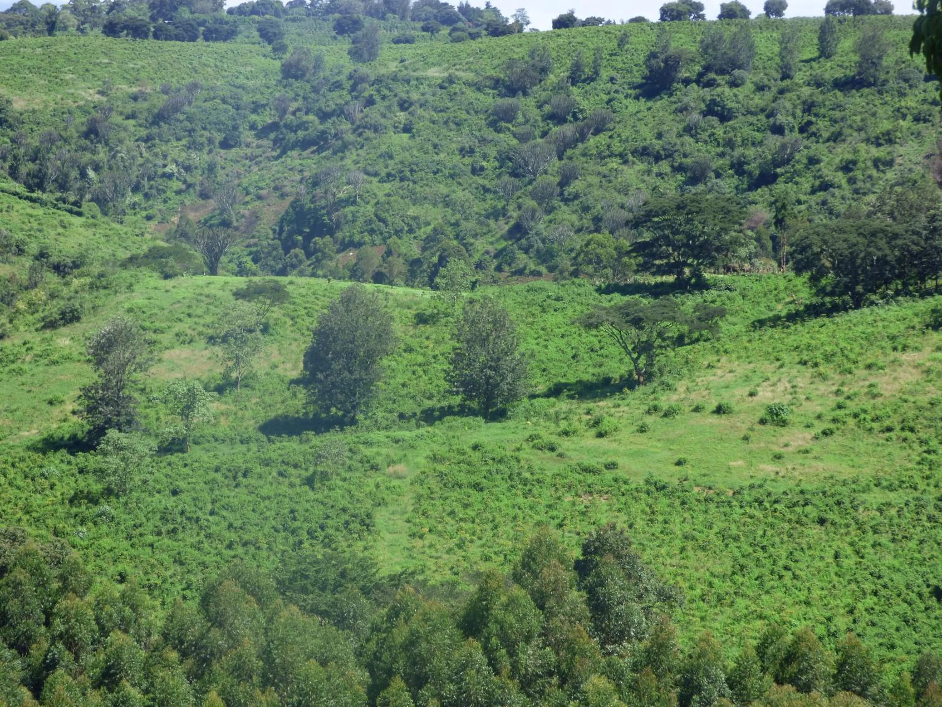 Day in Le Pristine Wellness and Healing Hotel