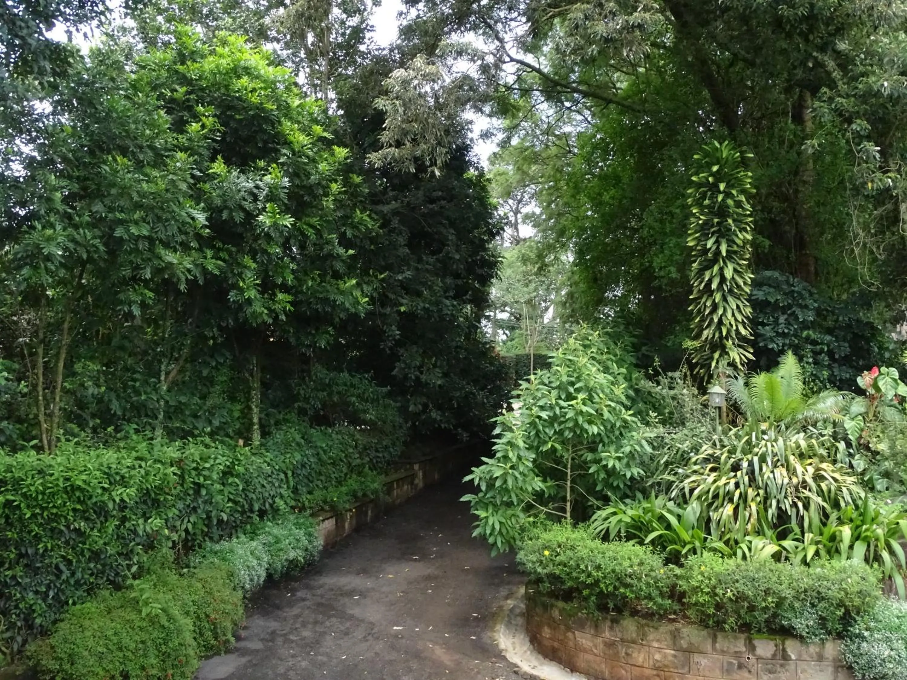 Day in Le Pristine Wellness and Healing Hotel