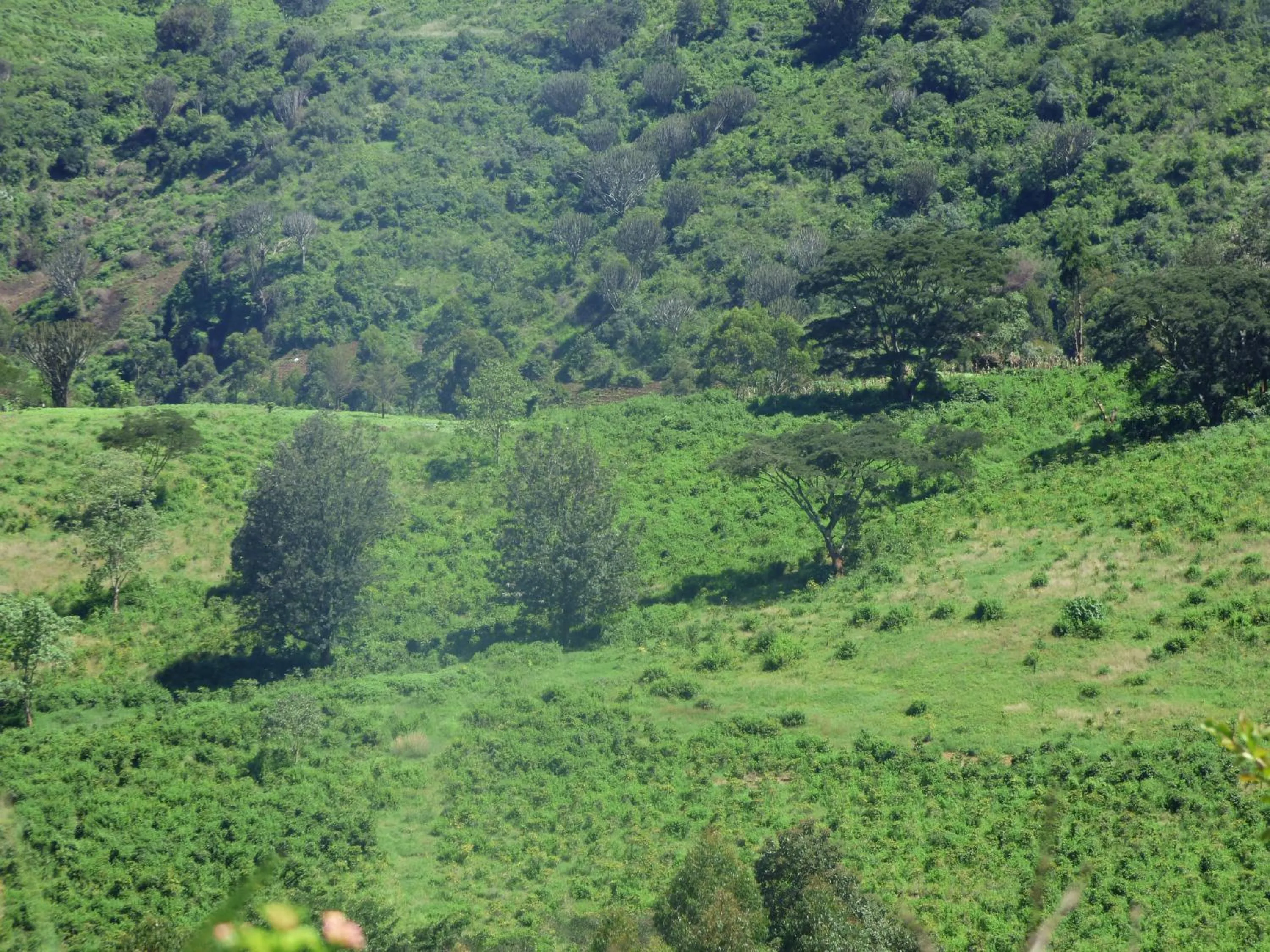 Neighbourhood in Le Pristine Wellness and Healing Hotel