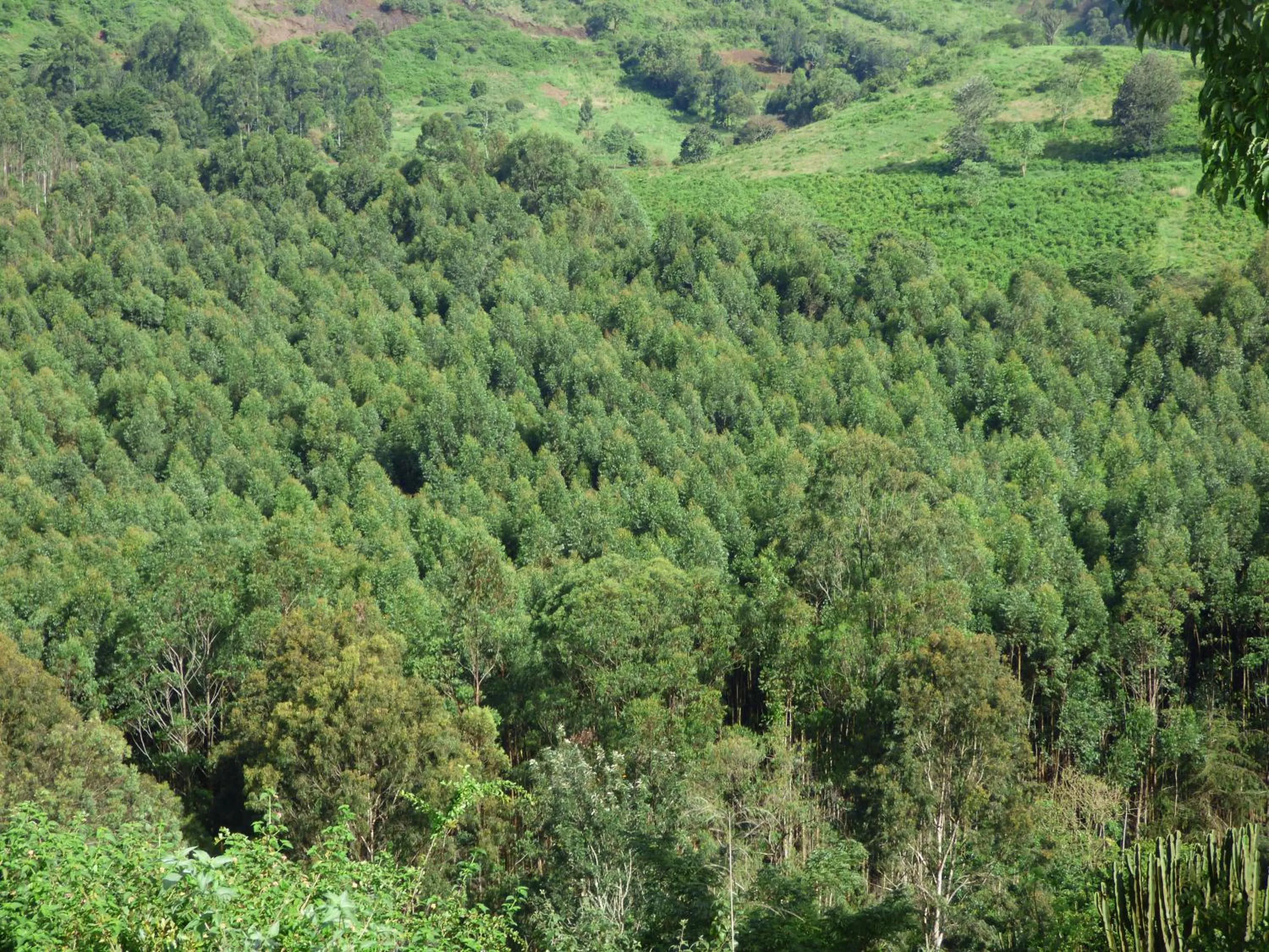 Neighbourhood in Le Pristine Wellness and Healing Hotel