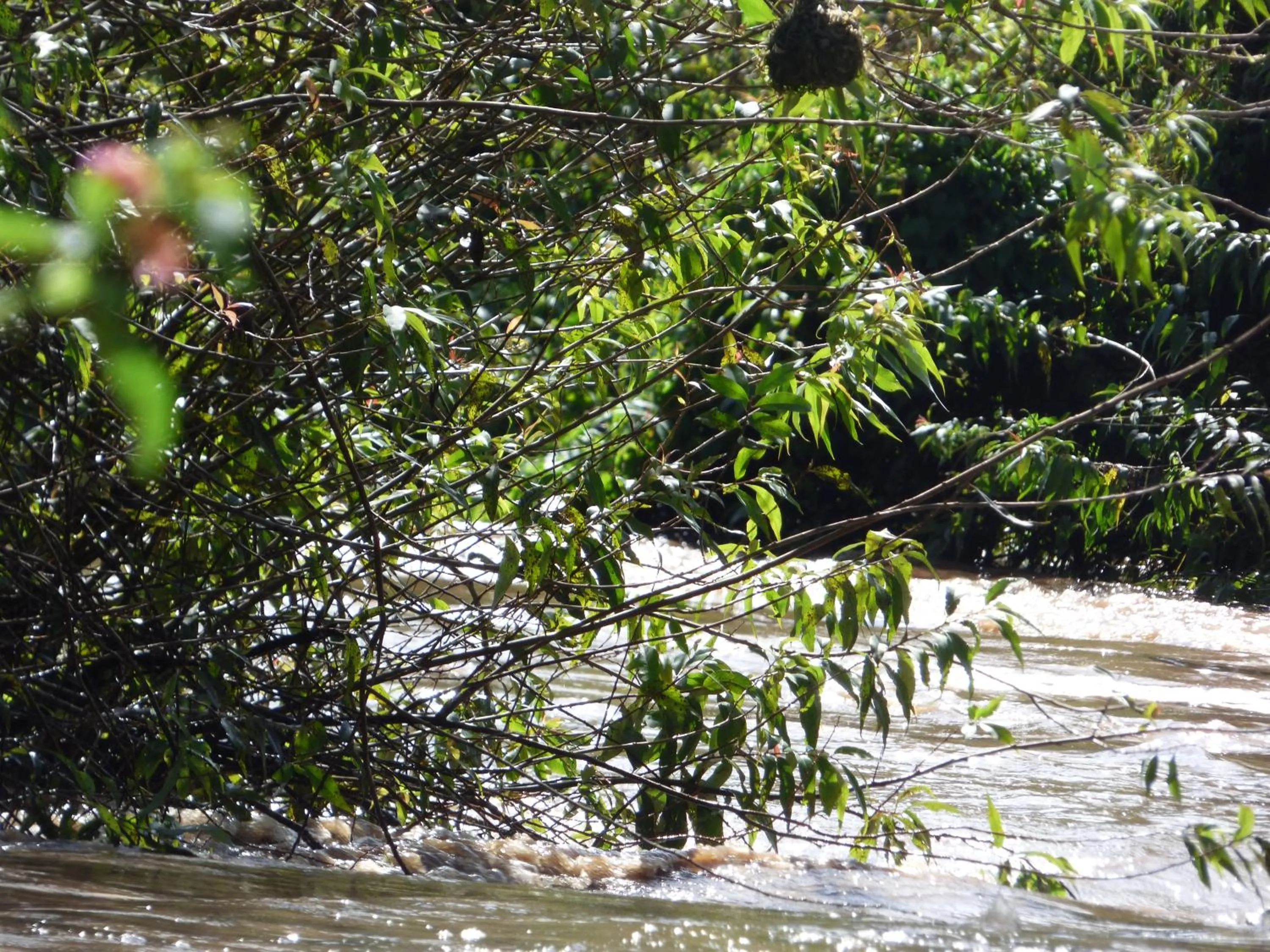 Neighbourhood in Le Pristine Wellness and Healing Hotel