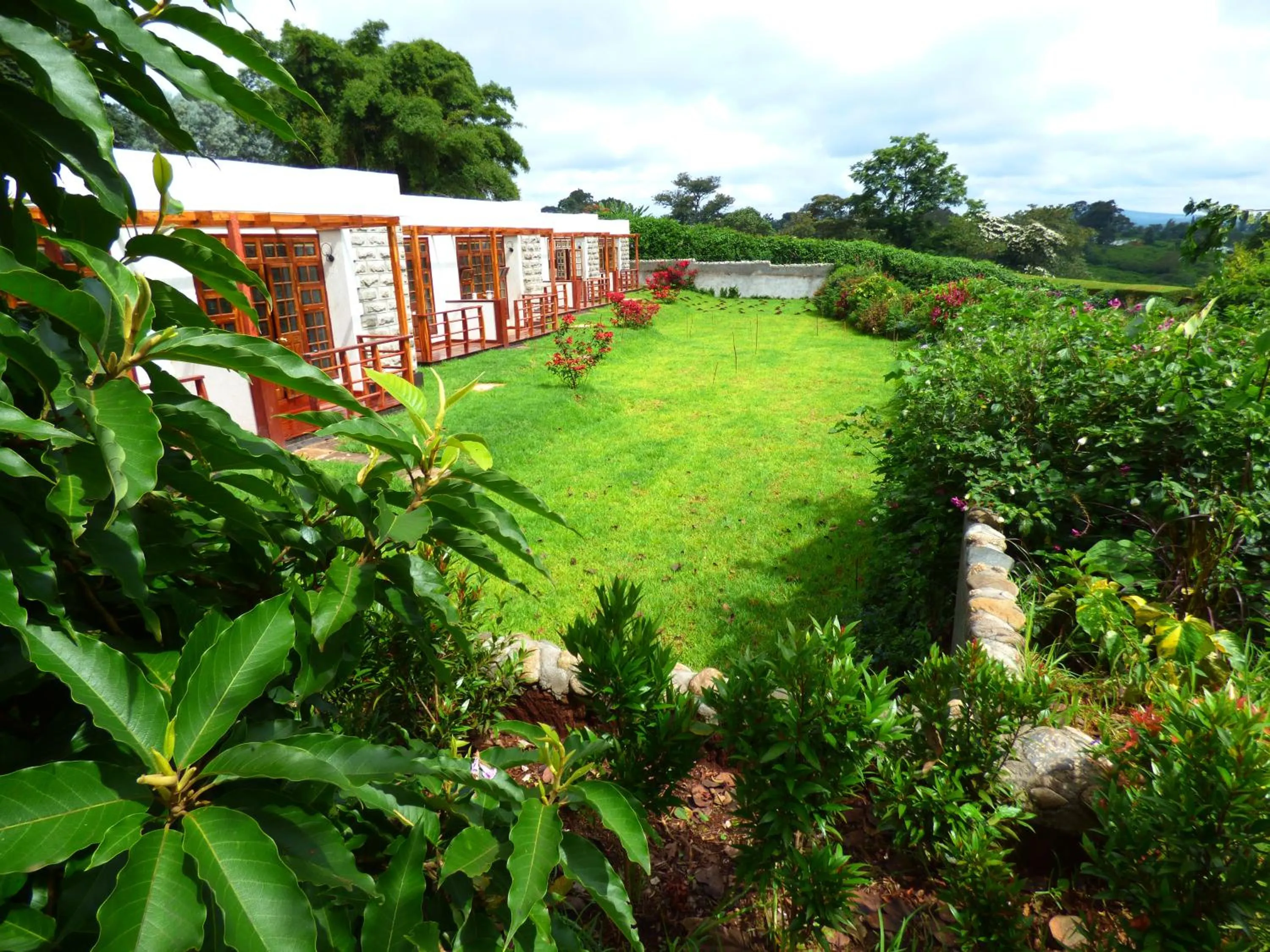 Garden in Le Pristine Wellness and Healing Hotel