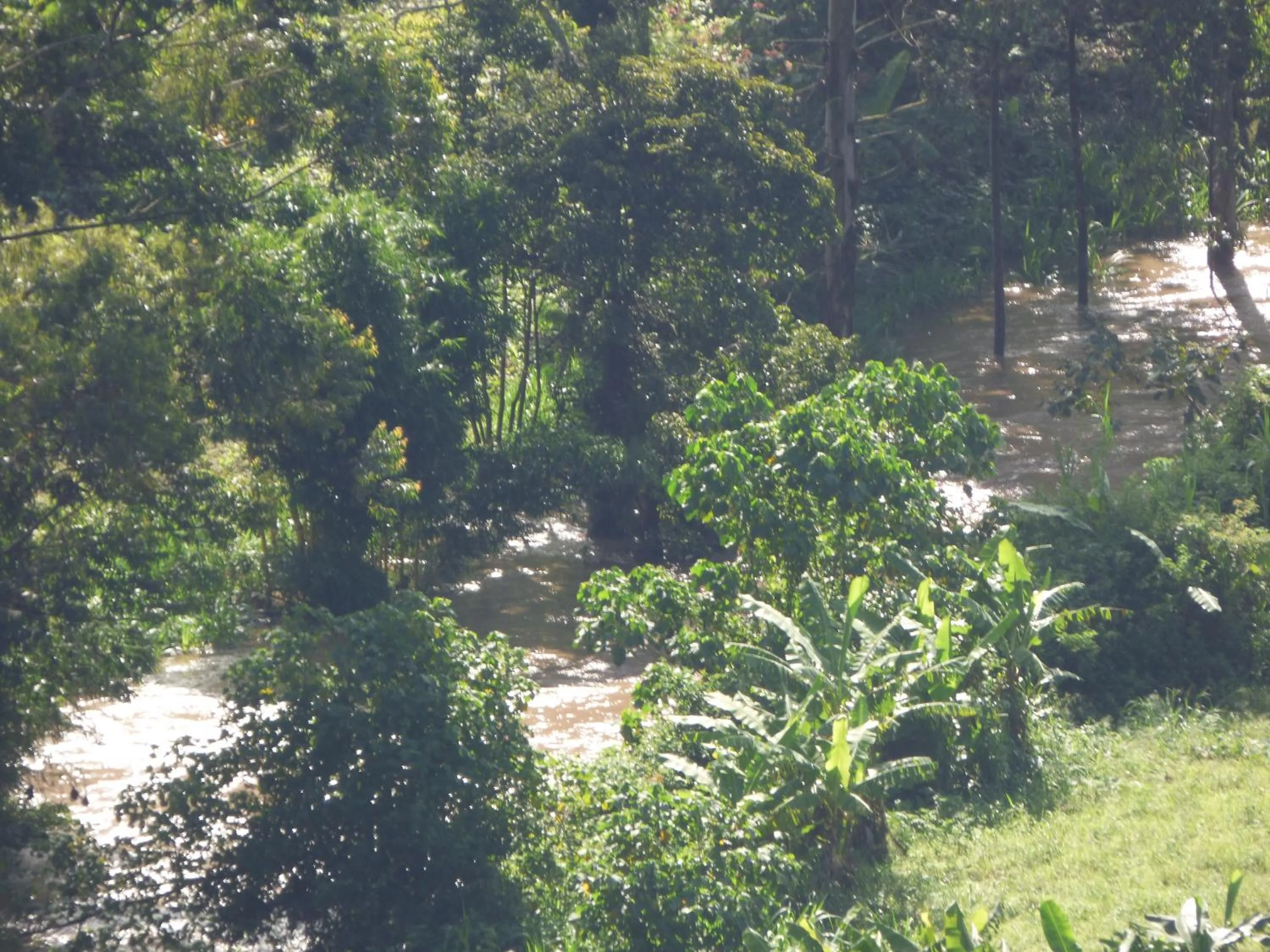 Neighbourhood in Le Pristine Wellness and Healing Hotel