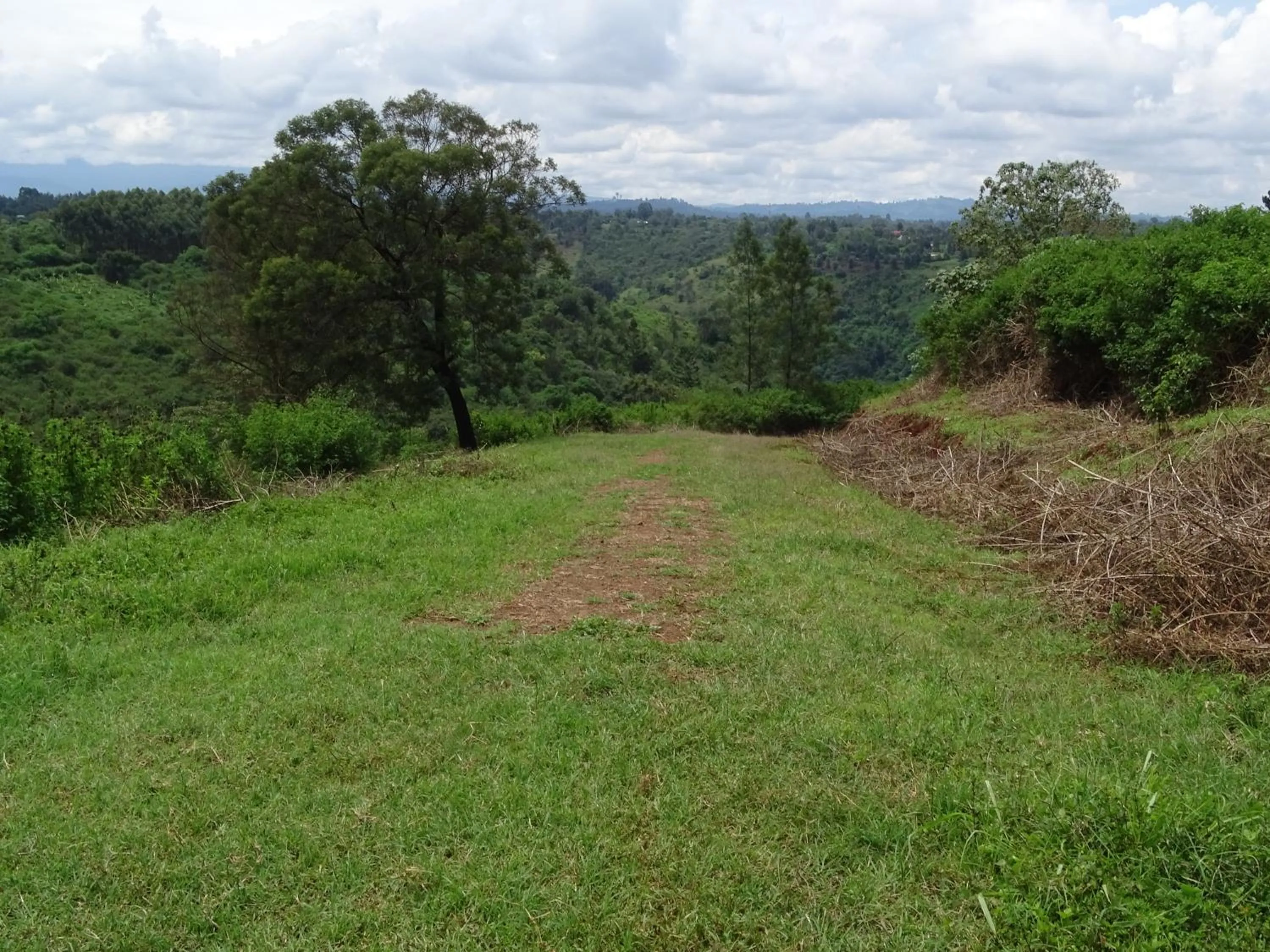 Day in Le Pristine Wellness and Healing Hotel