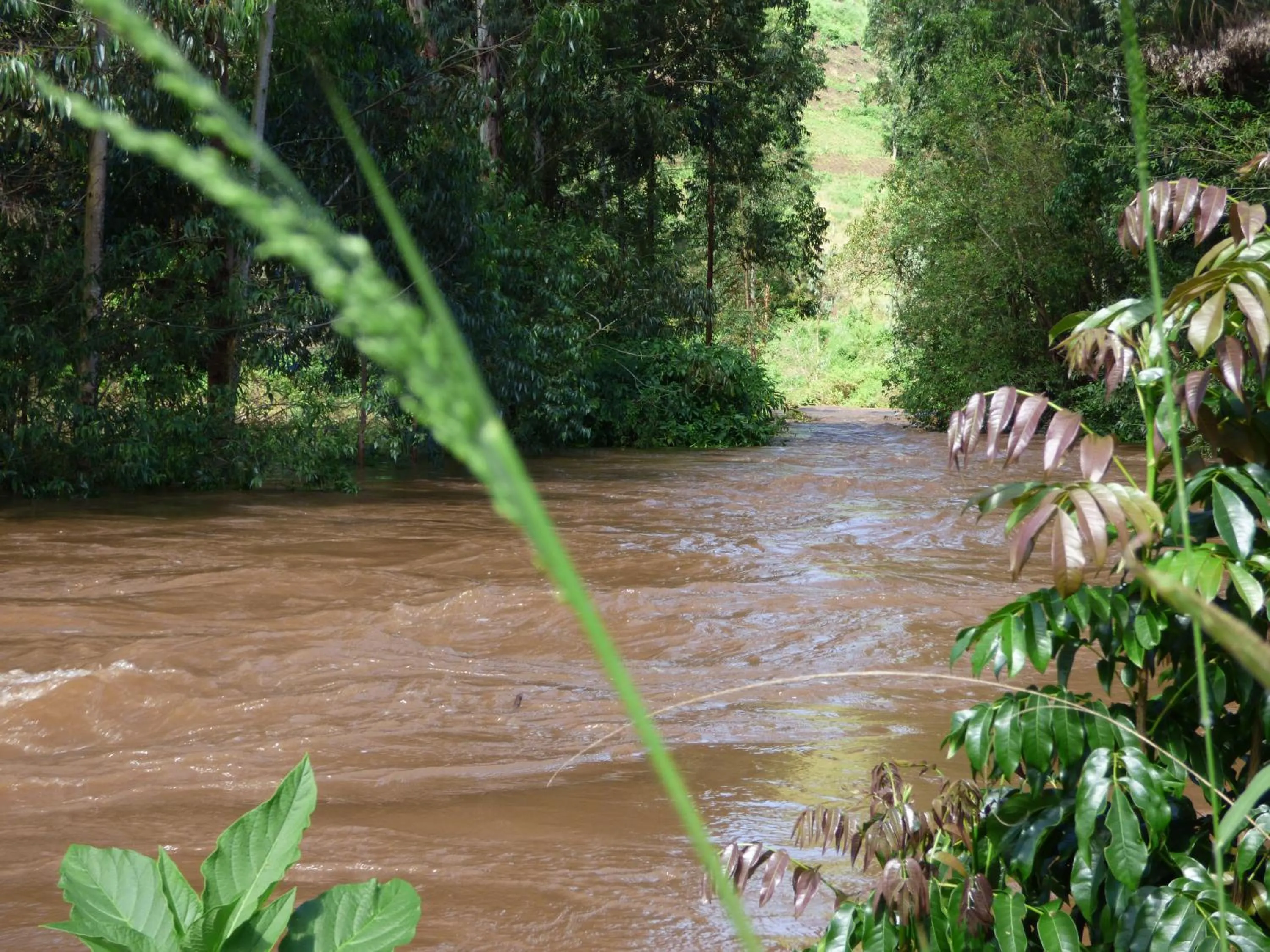 Spring in Le Pristine Wellness and Healing Hotel