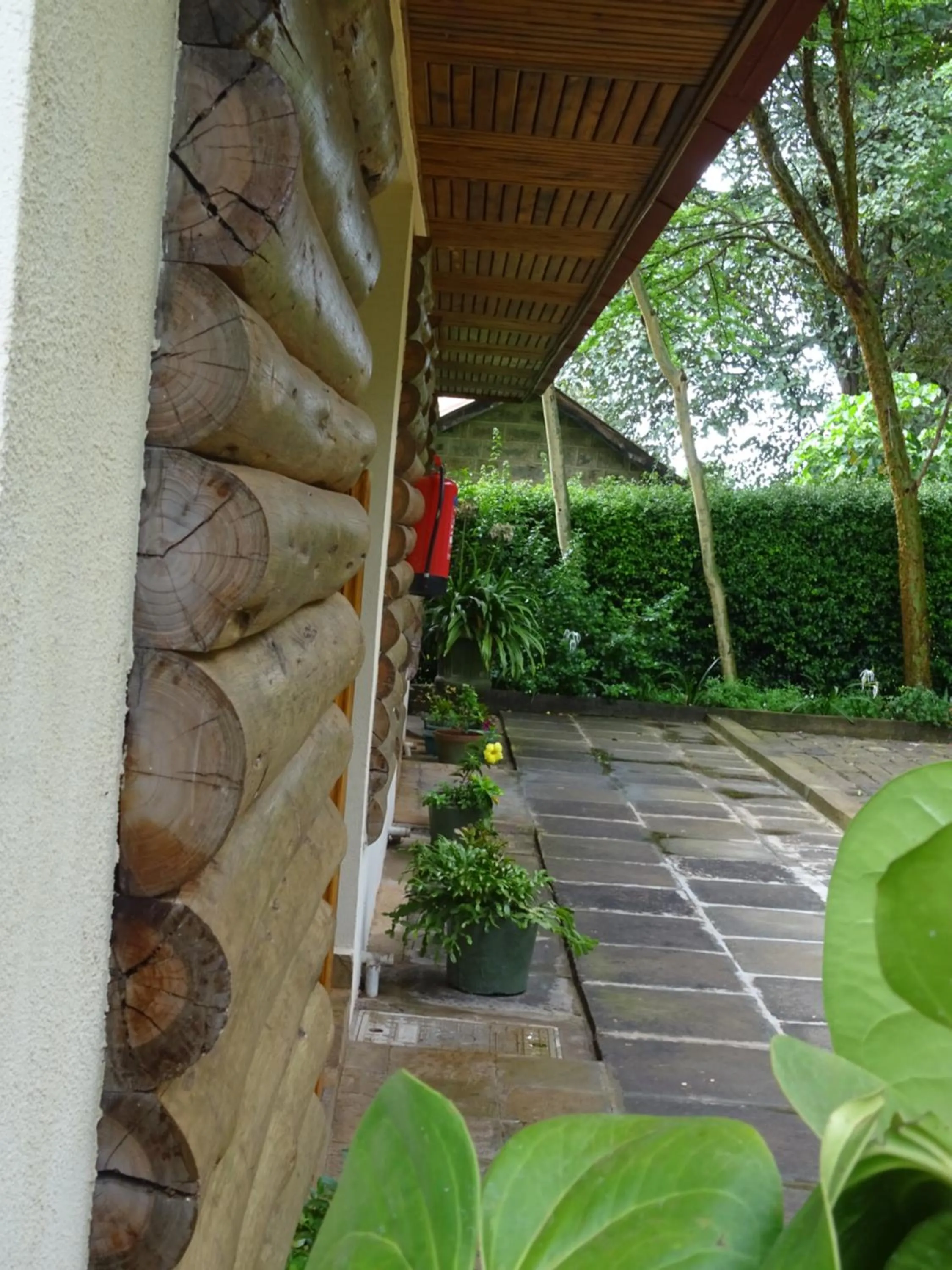 Garden in Le Pristine Wellness and Healing Hotel
