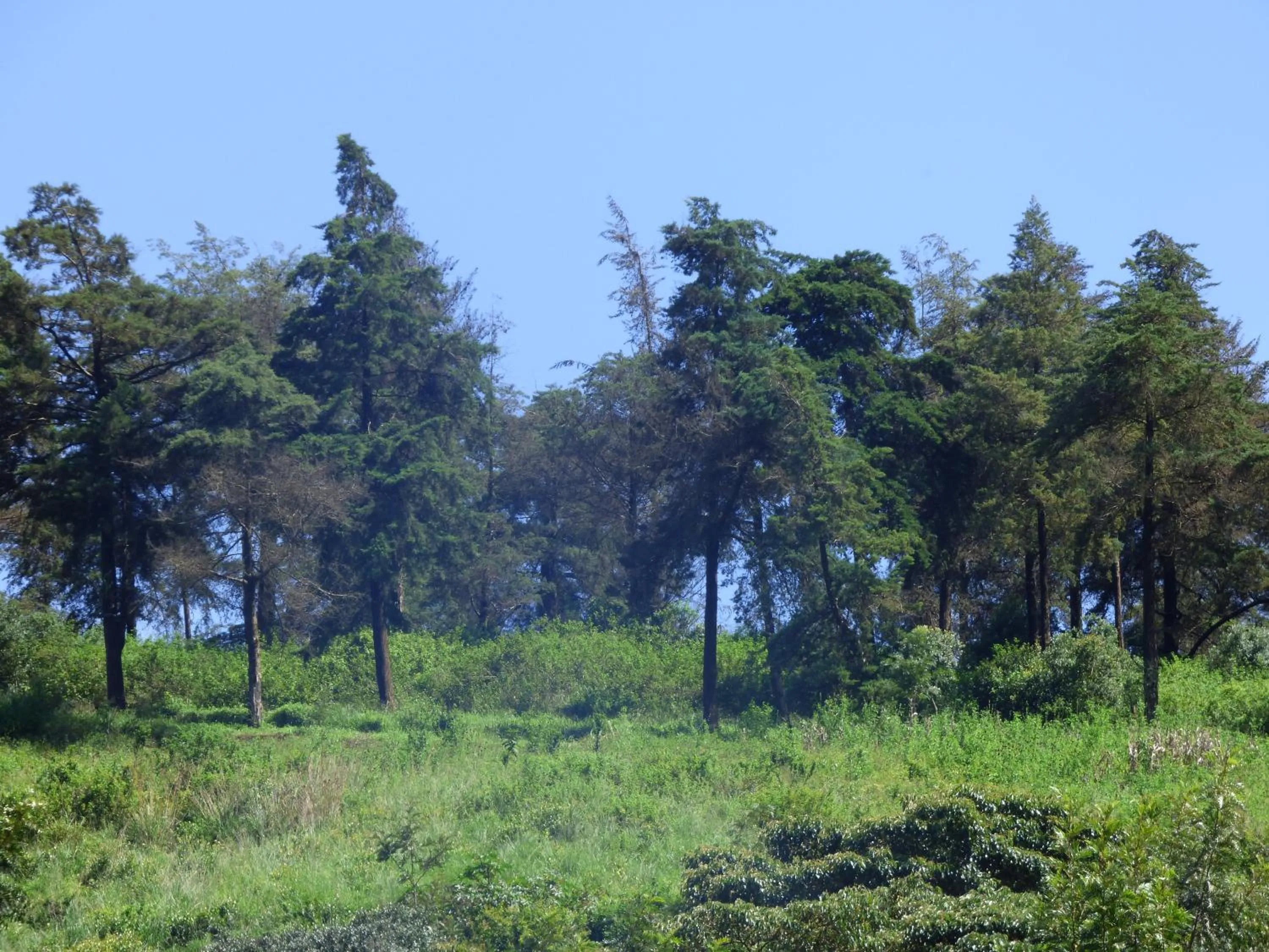 Neighbourhood in Le Pristine Wellness and Healing Hotel