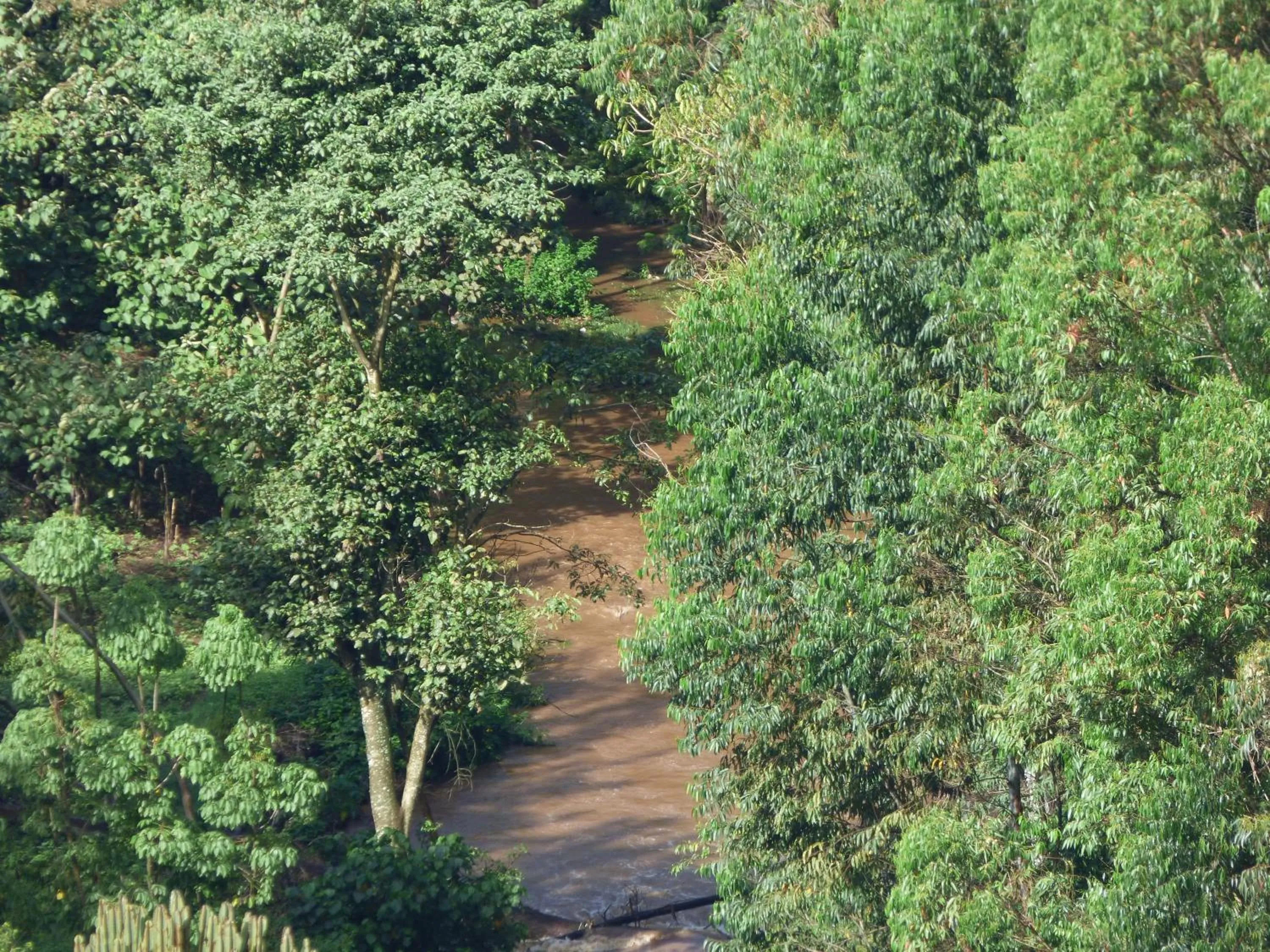 Natural landscape in Le Pristine Wellness and Healing Hotel