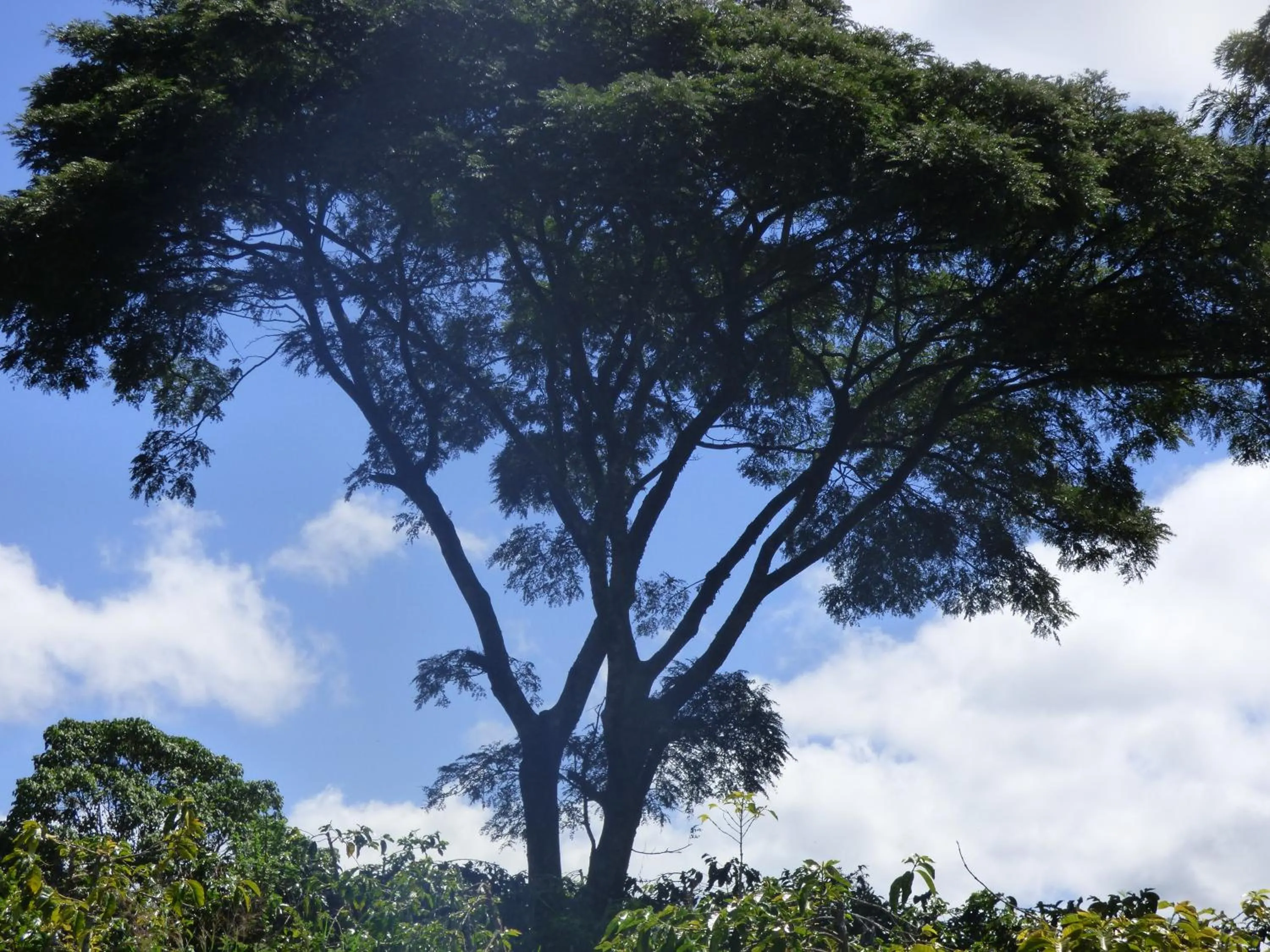 Neighbourhood in Le Pristine Wellness and Healing Hotel