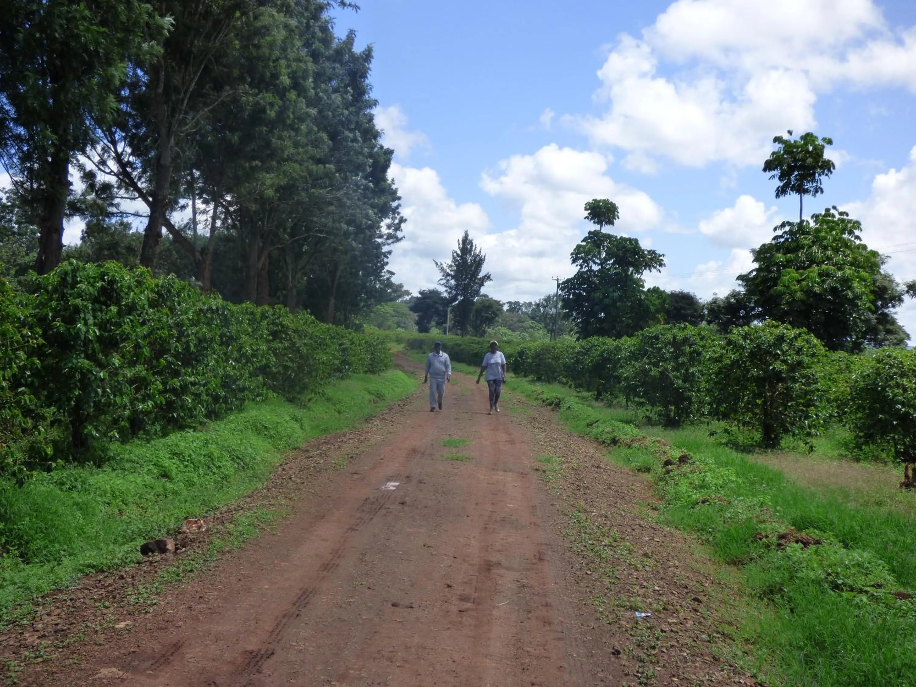 Activities in Le Pristine Wellness and Healing Hotel