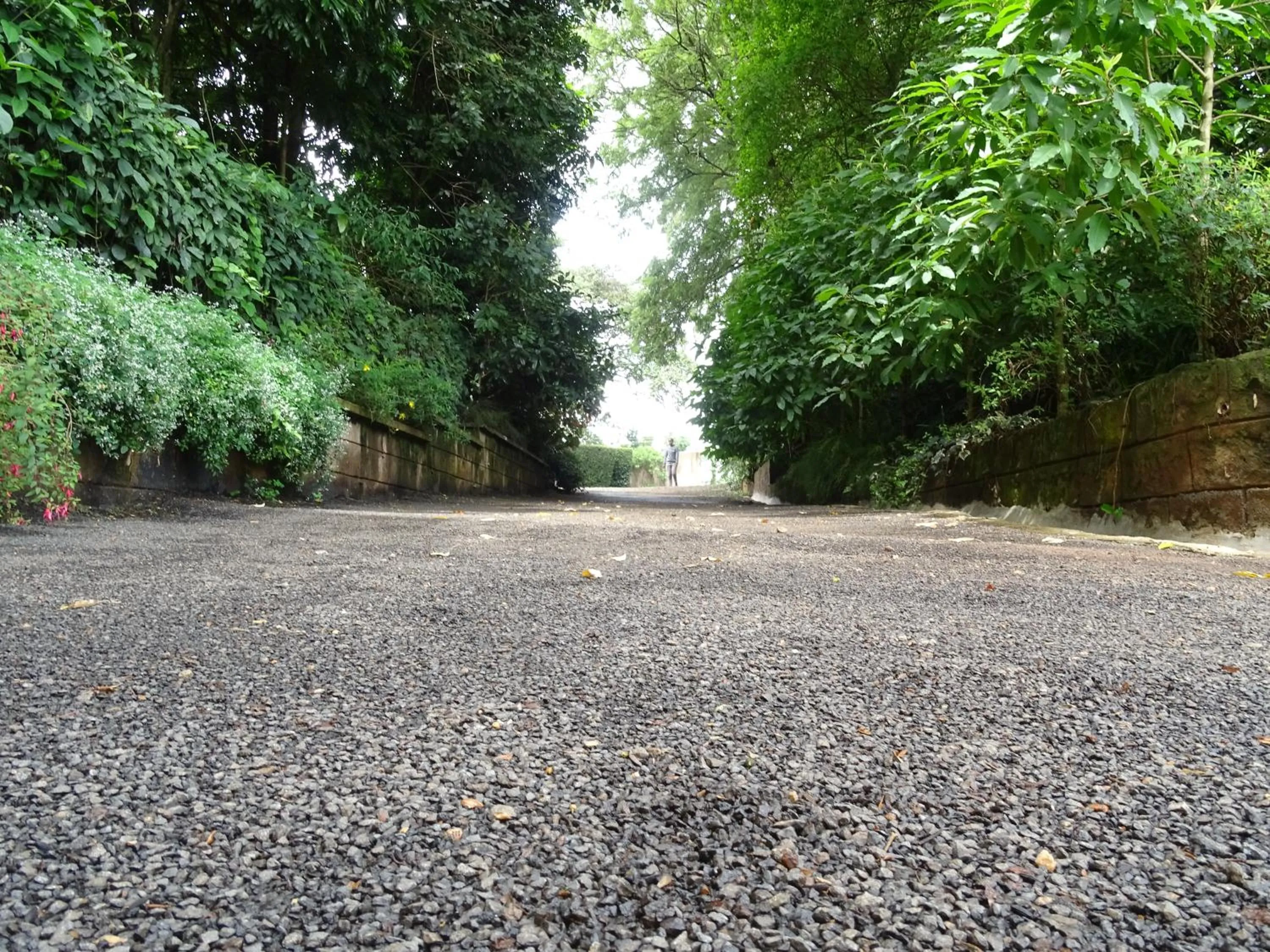 Garden in Le Pristine Wellness and Healing Hotel