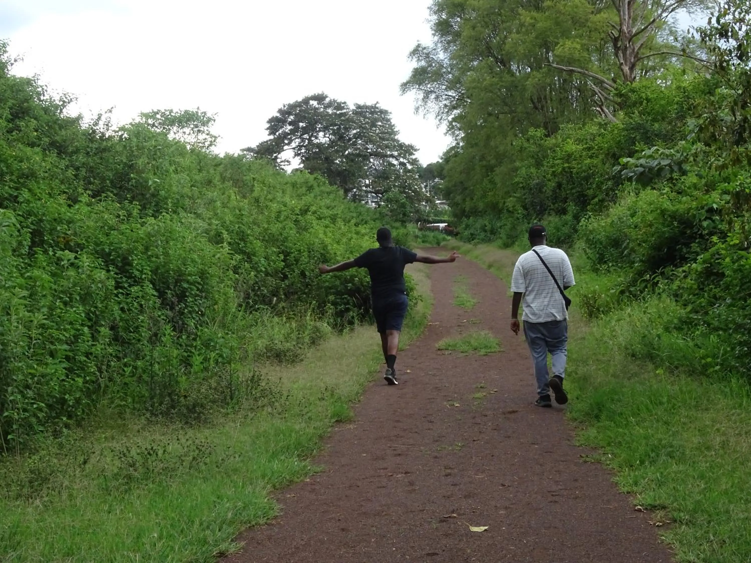 Natural landscape in Le Pristine Wellness and Healing Hotel