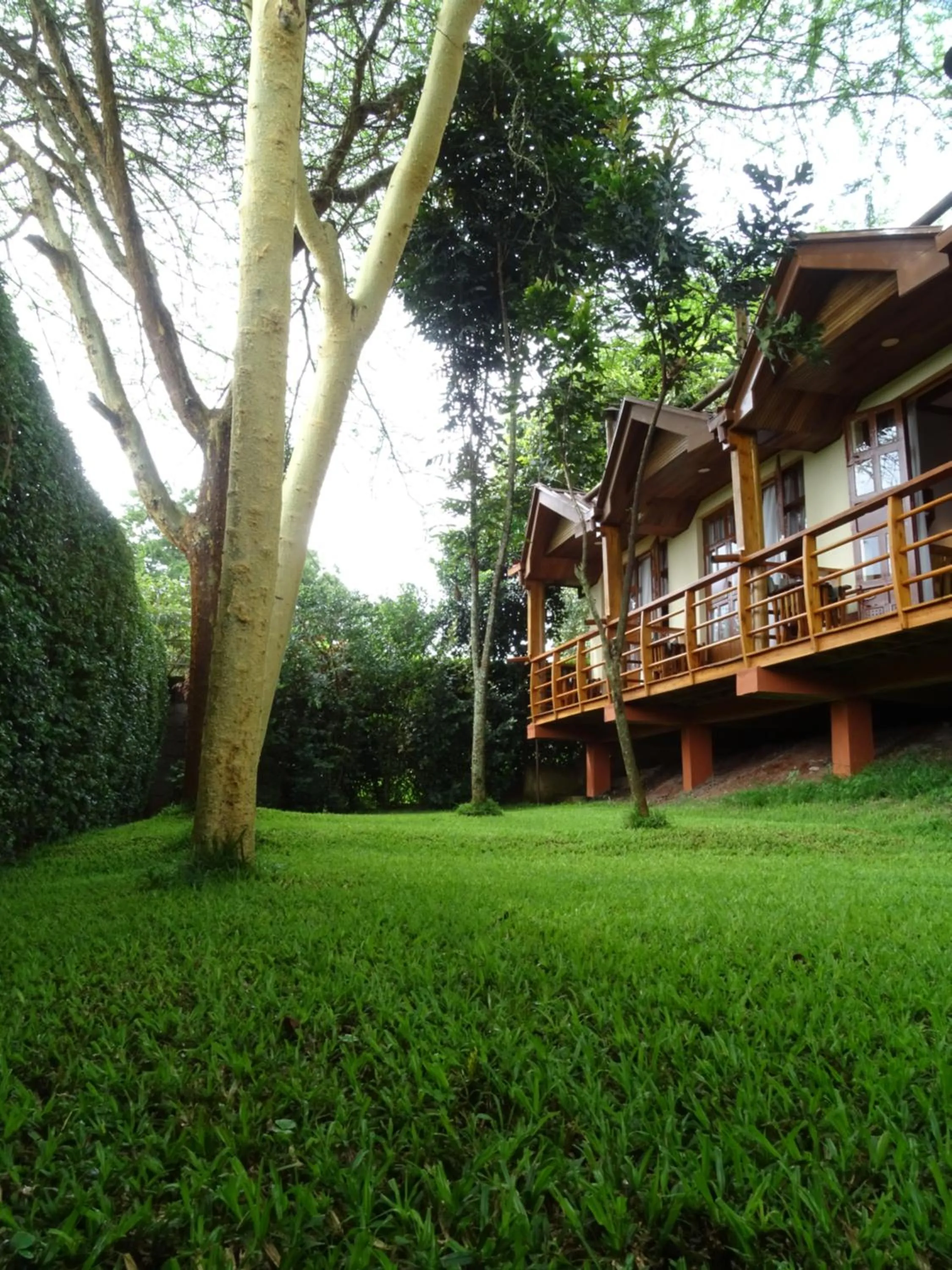 Garden in Le Pristine Wellness and Healing Hotel