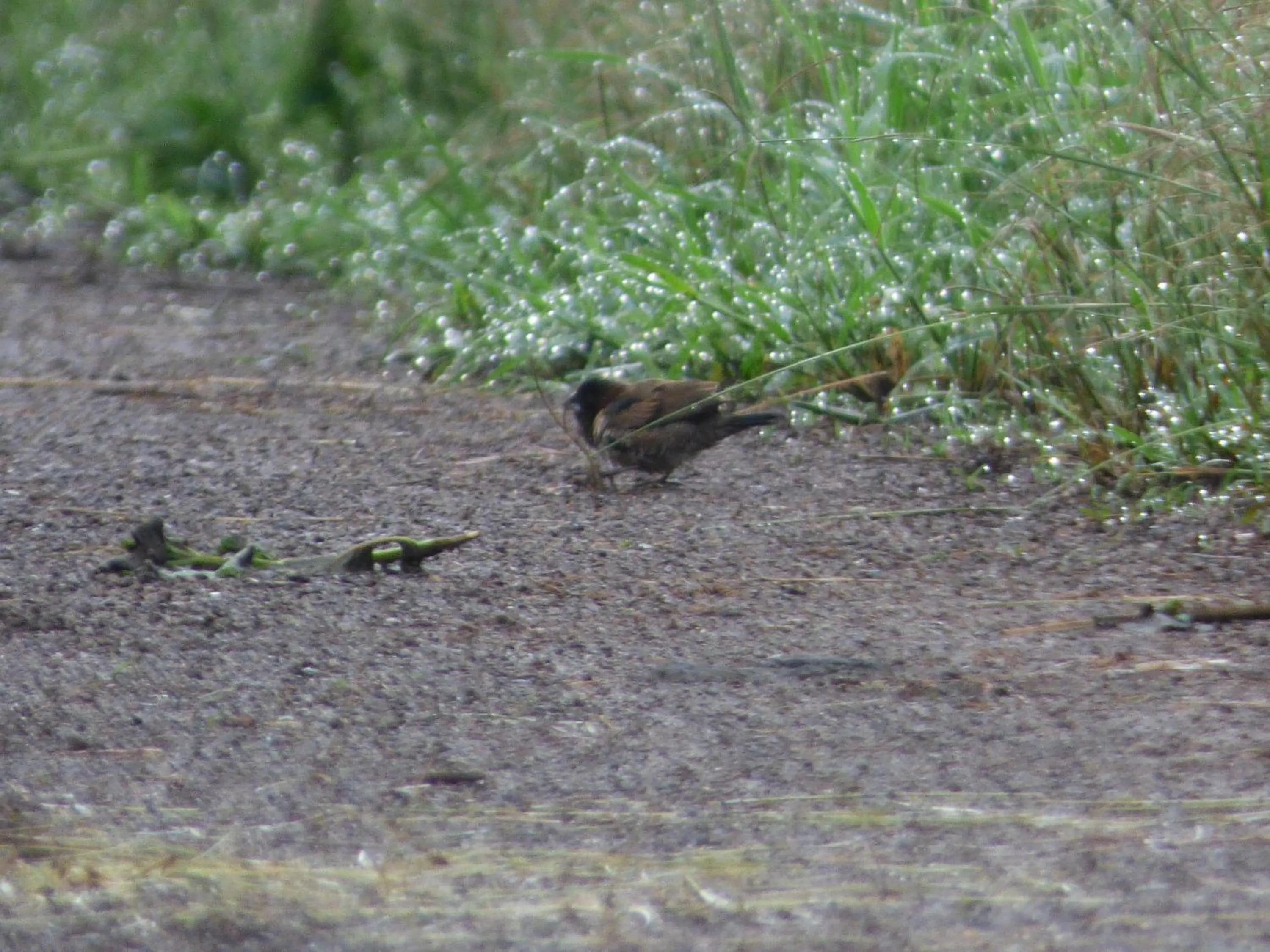 Day in Le Pristine Wellness and Healing Hotel