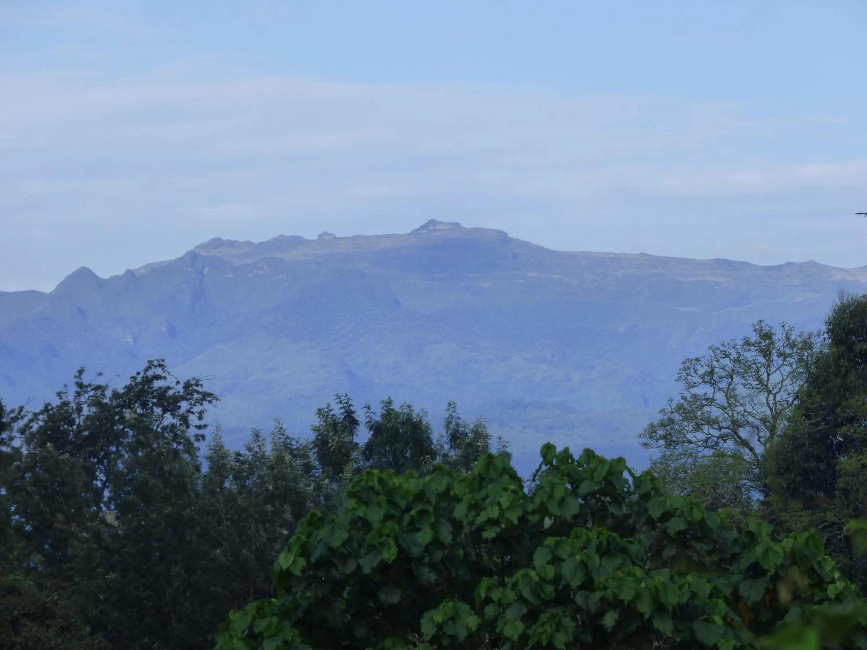 Landmark view in Le Pristine Wellness and Healing Hotel