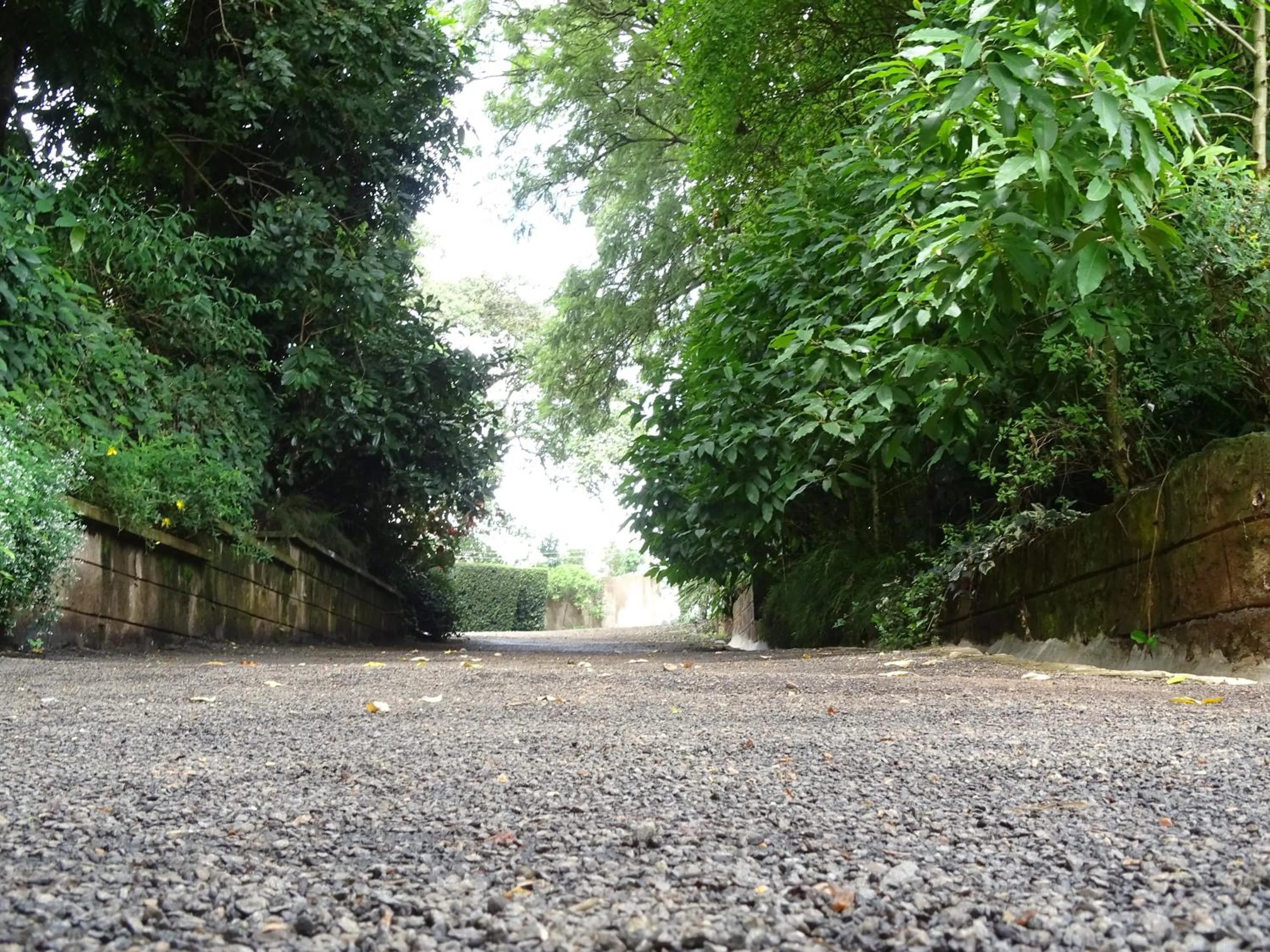 Garden in Le Pristine Wellness and Healing Hotel