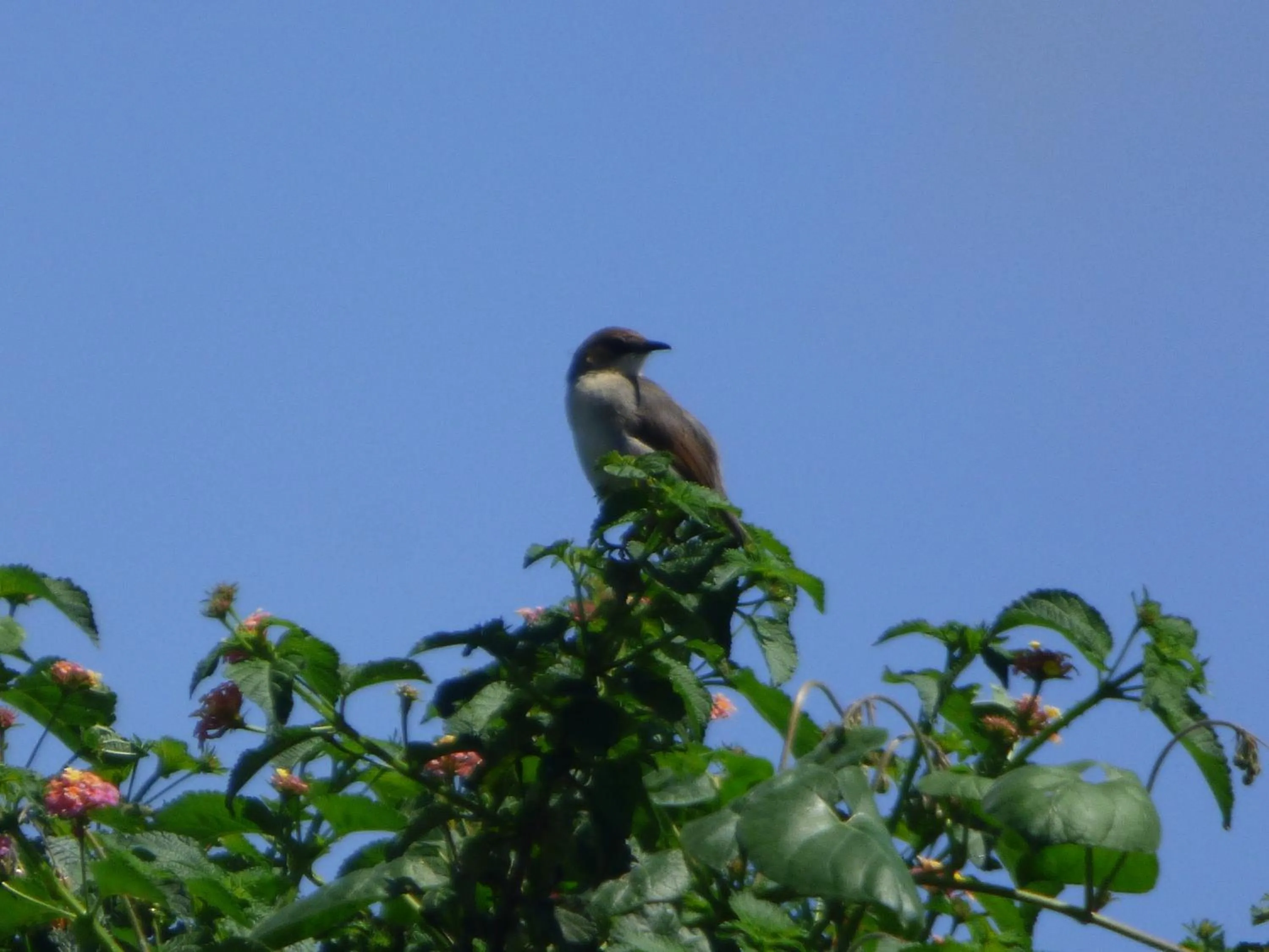 Neighbourhood in Le Pristine Wellness and Healing Hotel