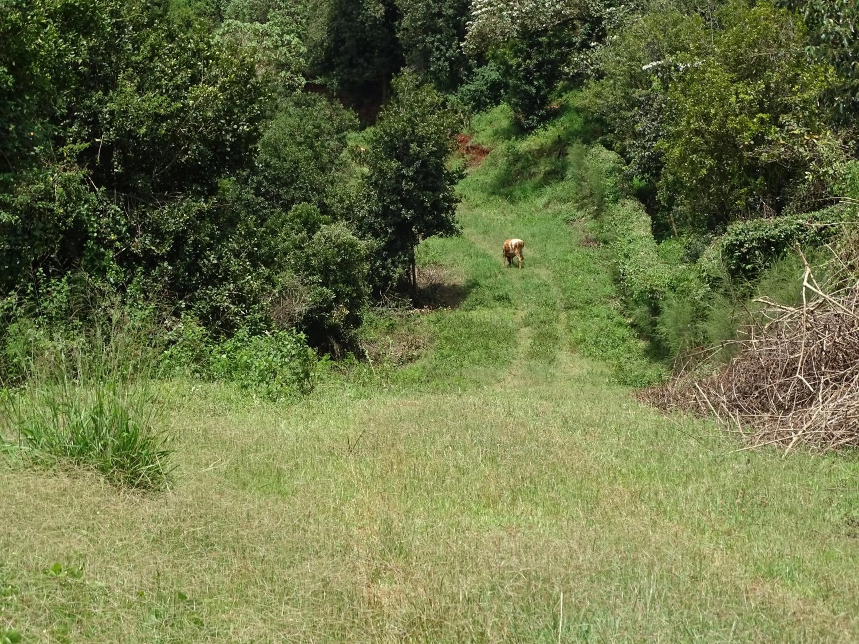 Day in Le Pristine Wellness and Healing Hotel