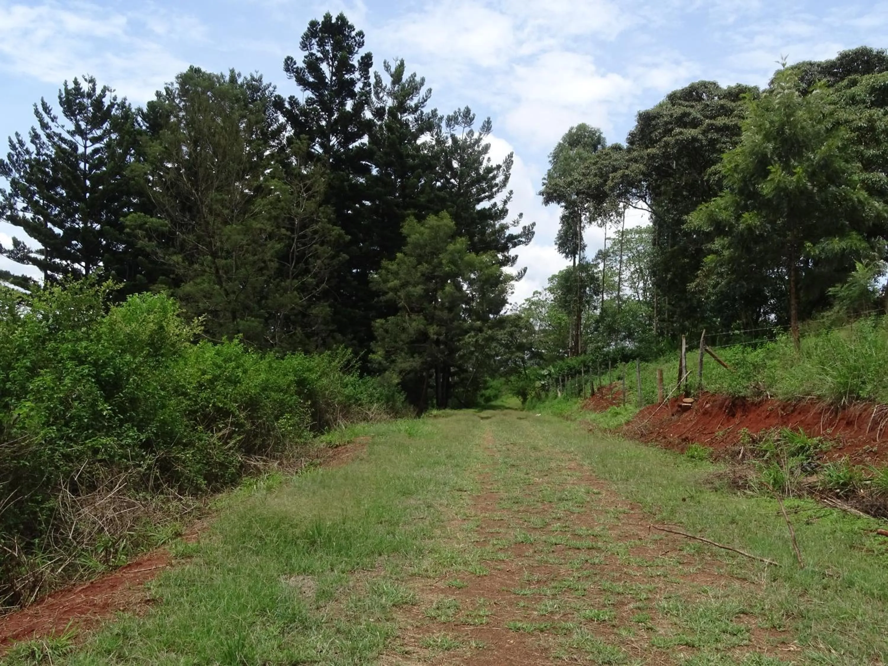 Natural landscape in Le Pristine Wellness and Healing Hotel