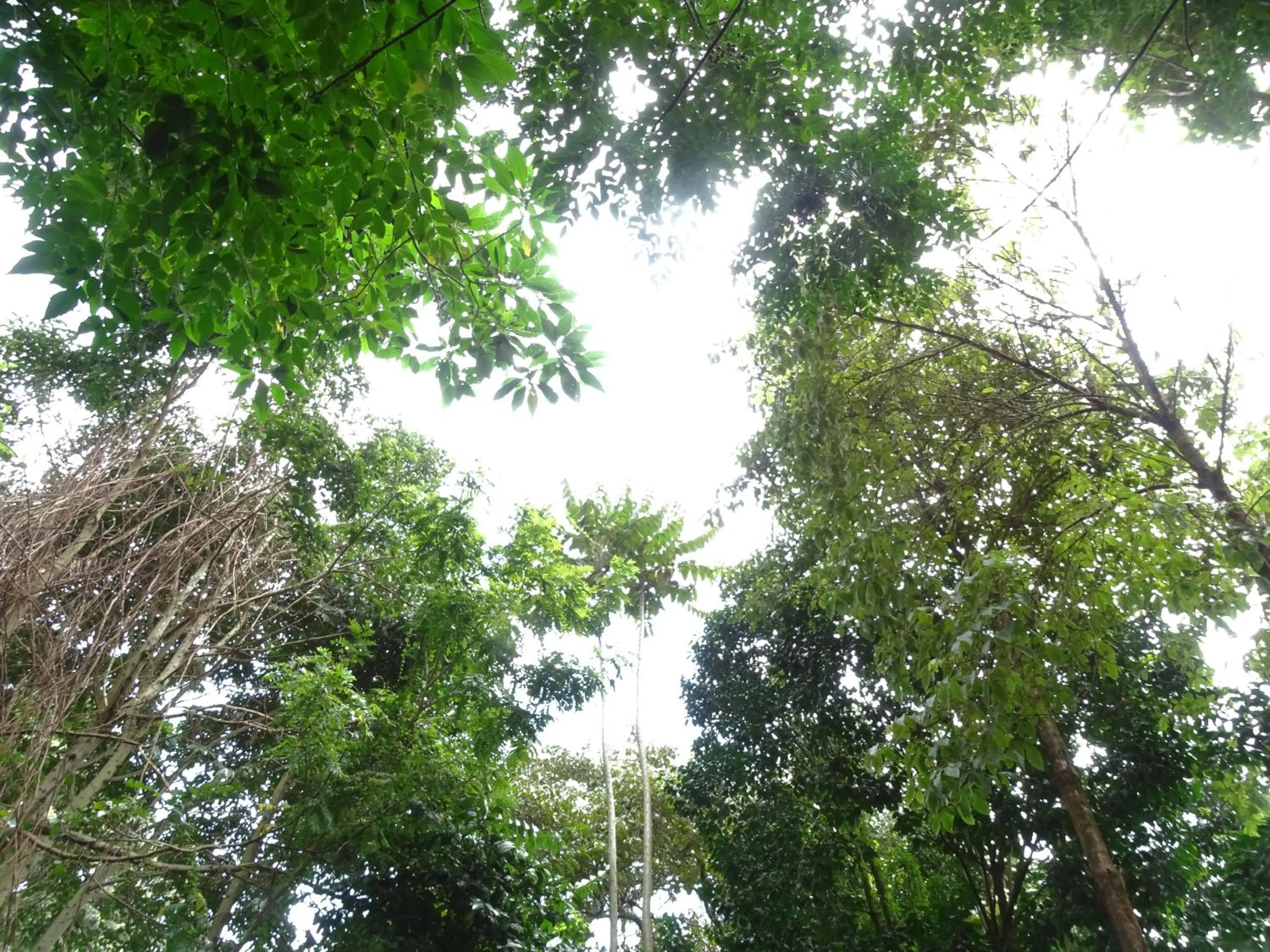 Day in Le Pristine Wellness and Healing Hotel