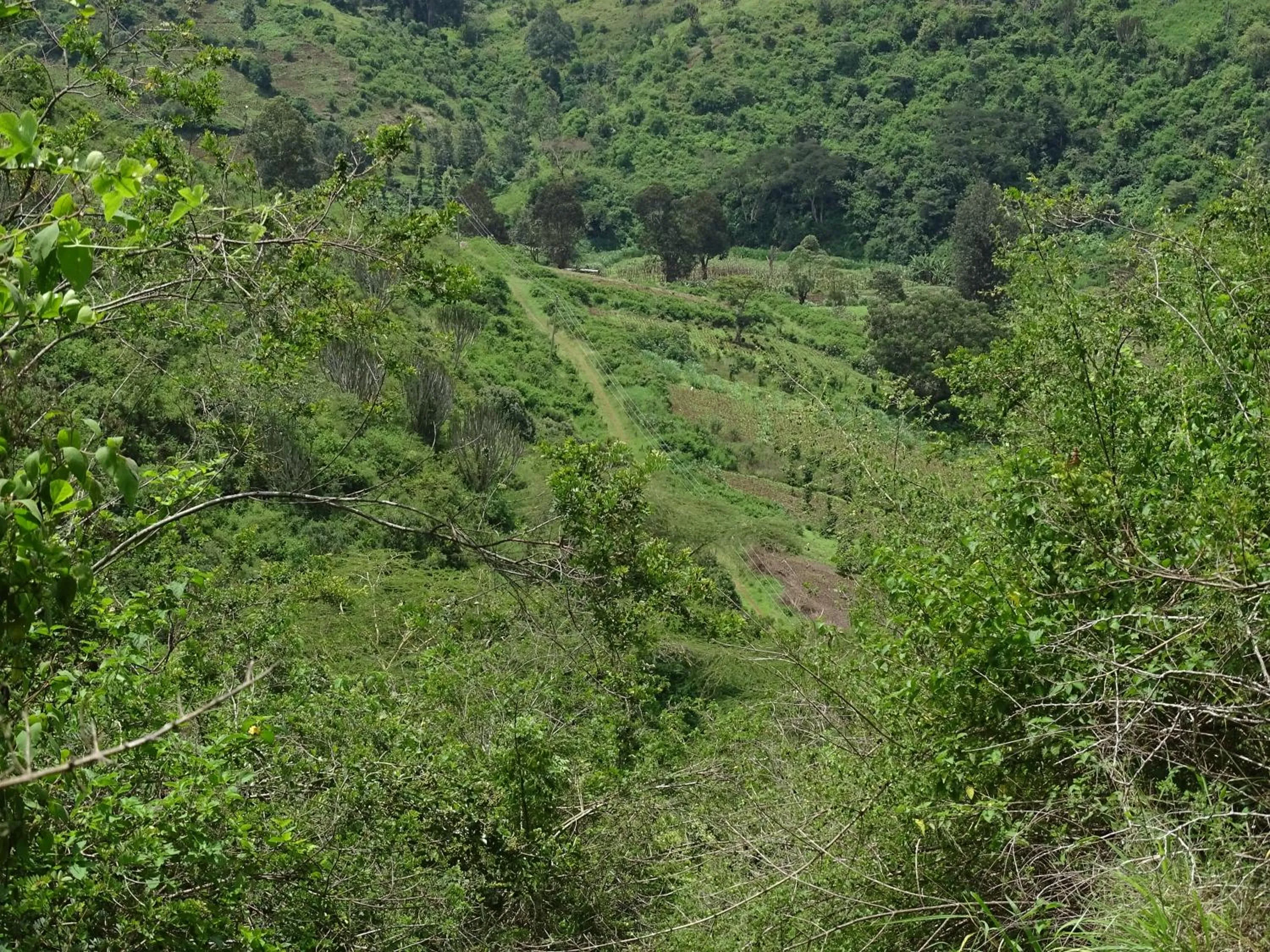 Natural landscape in Le Pristine Wellness and Healing Hotel