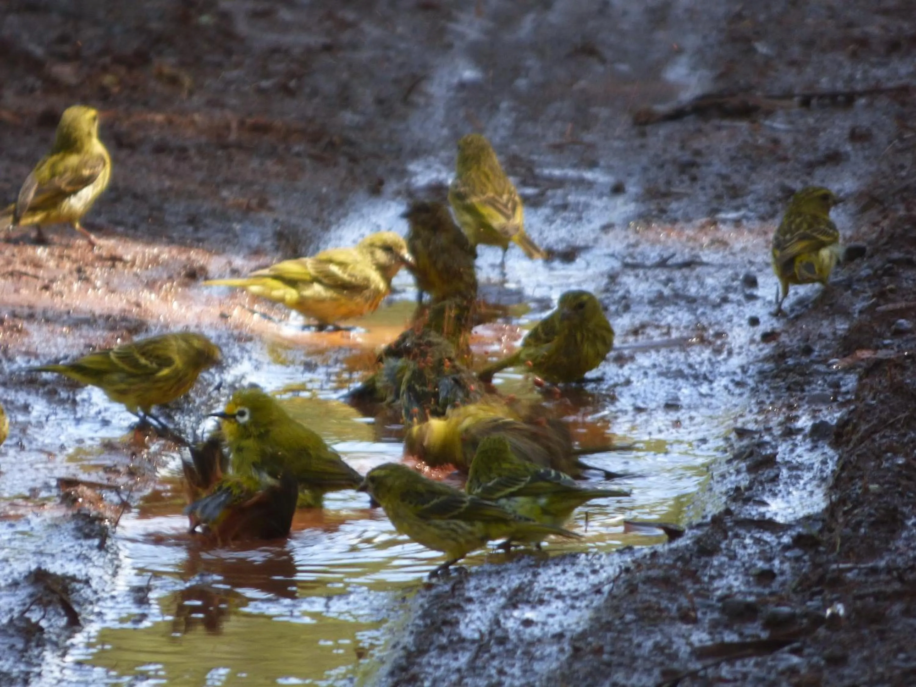 Day in Le Pristine Wellness and Healing Hotel