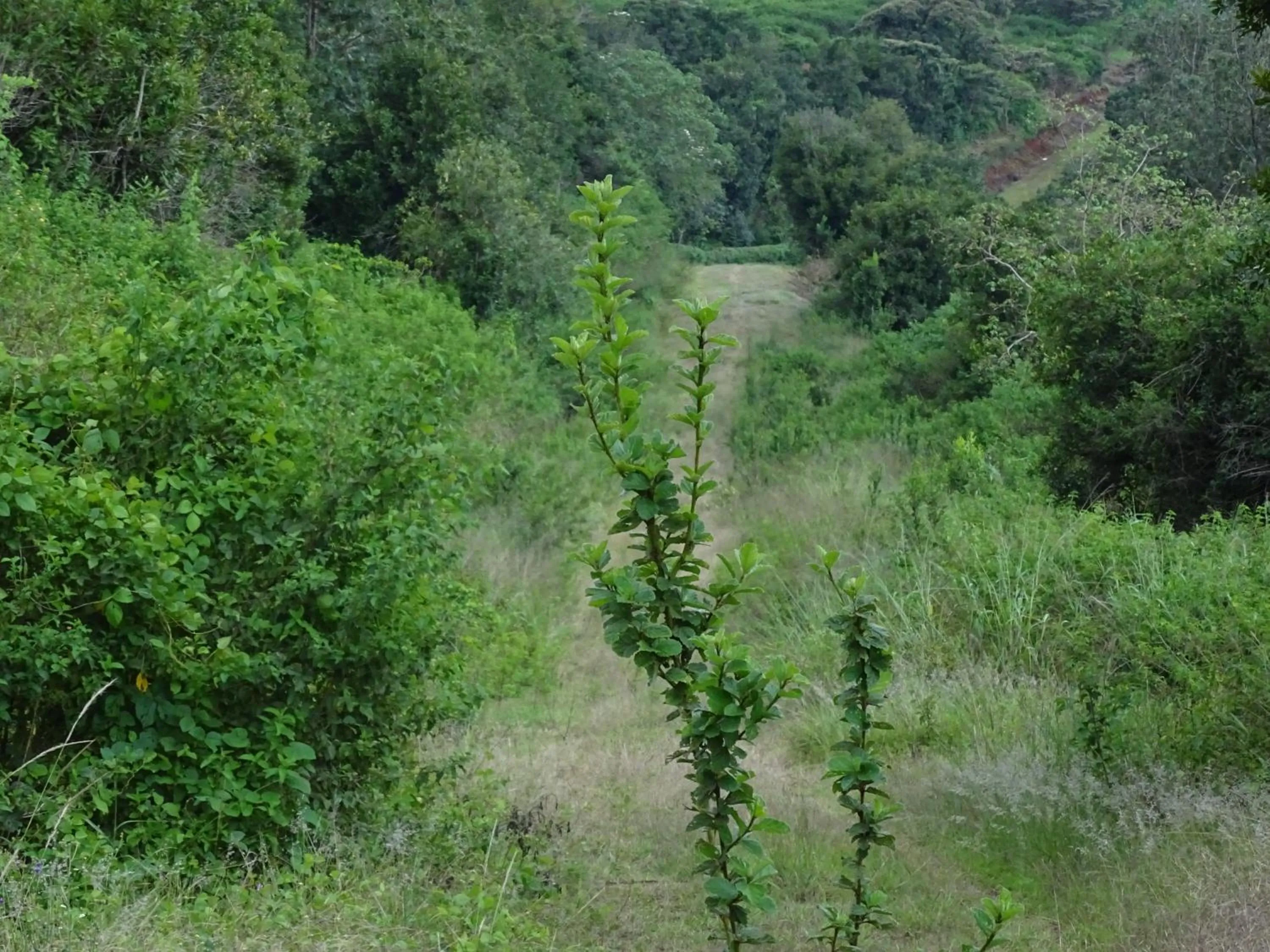 Day in Le Pristine Wellness and Healing Hotel