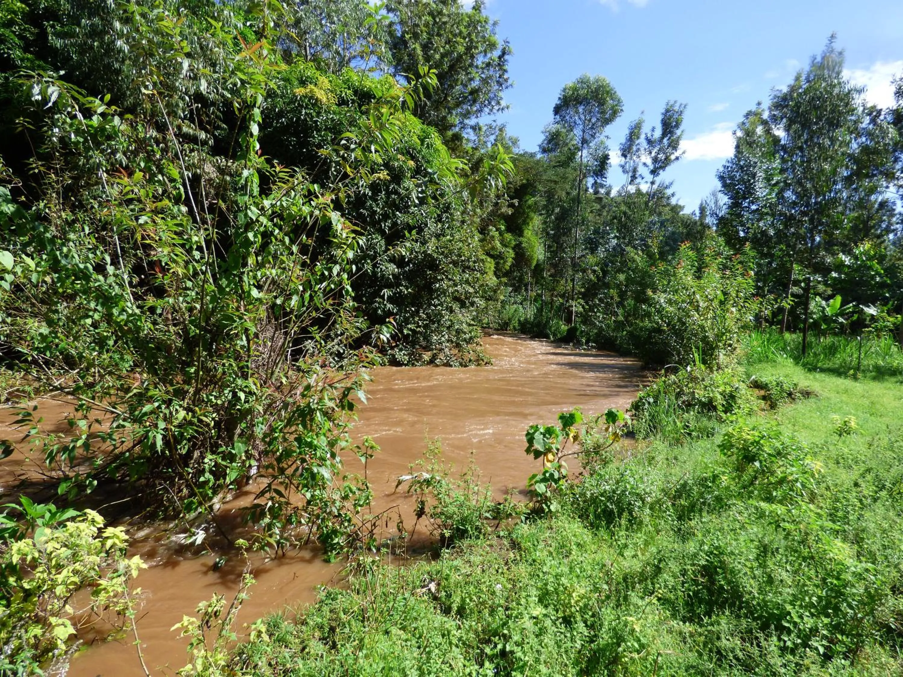 Natural landscape in Le Pristine Wellness and Healing Hotel