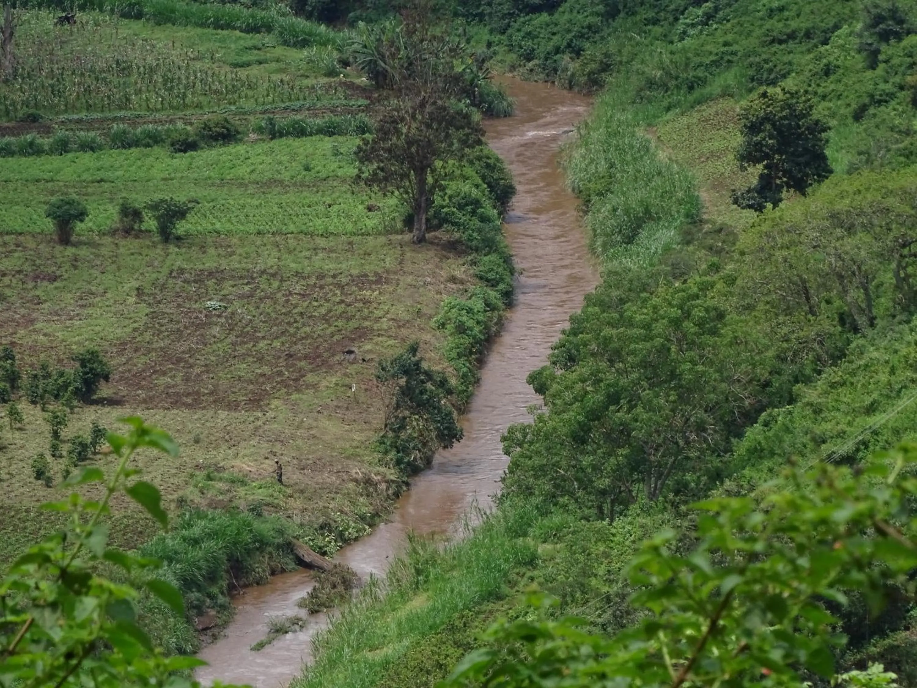 Other in Le Pristine Wellness and Healing Hotel