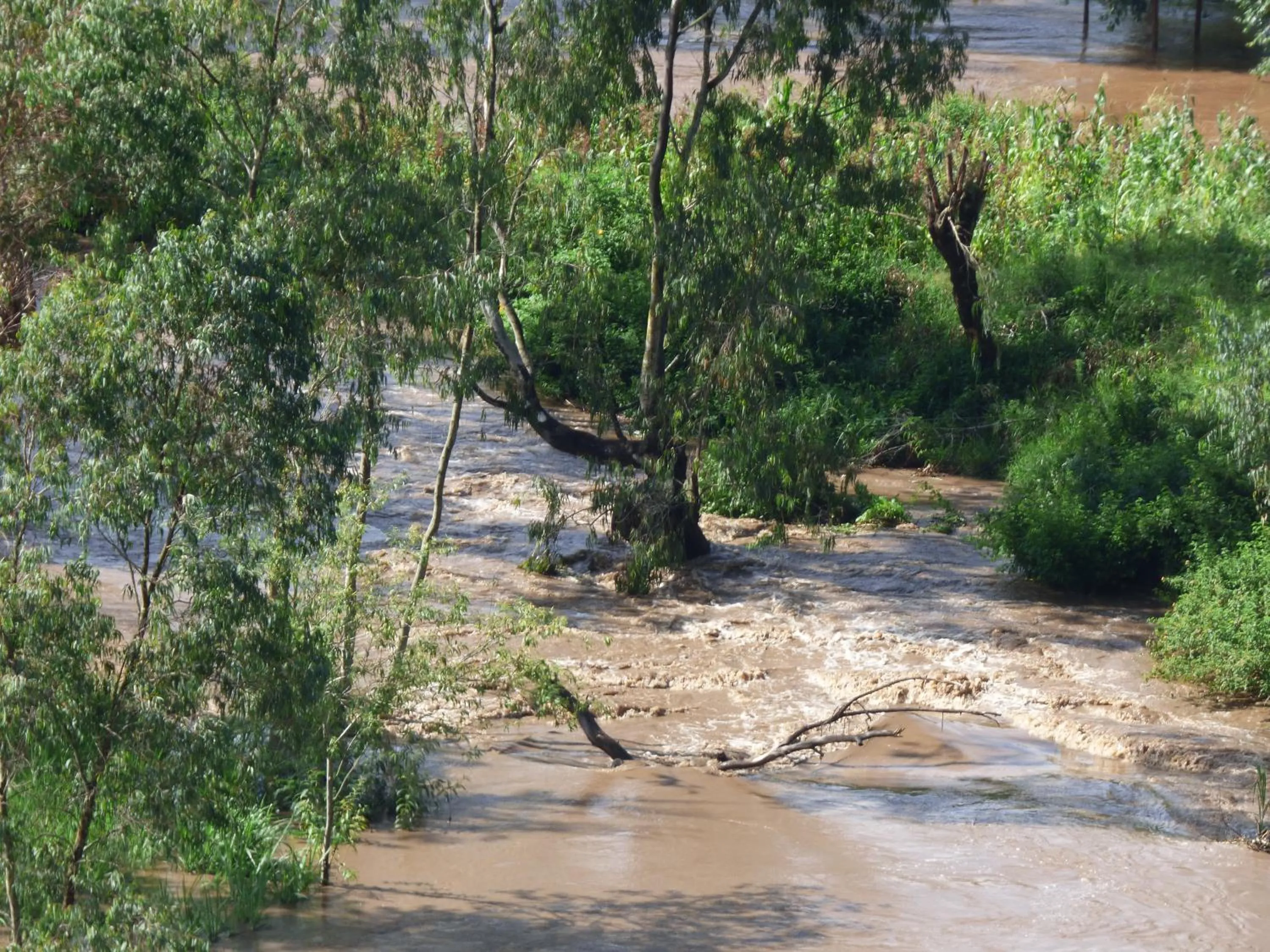 Natural landscape in Le Pristine Wellness and Healing Hotel