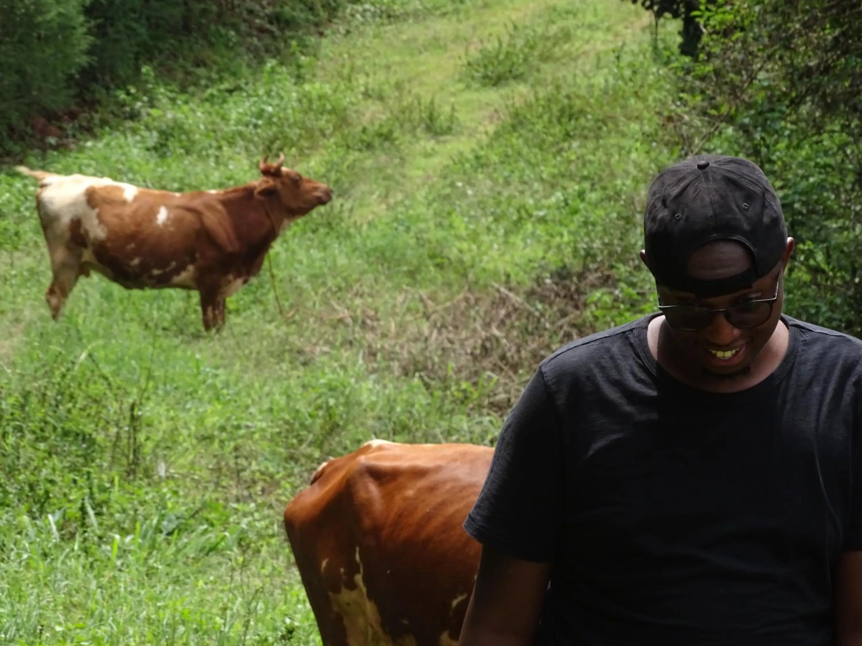 Day in Le Pristine Wellness and Healing Hotel