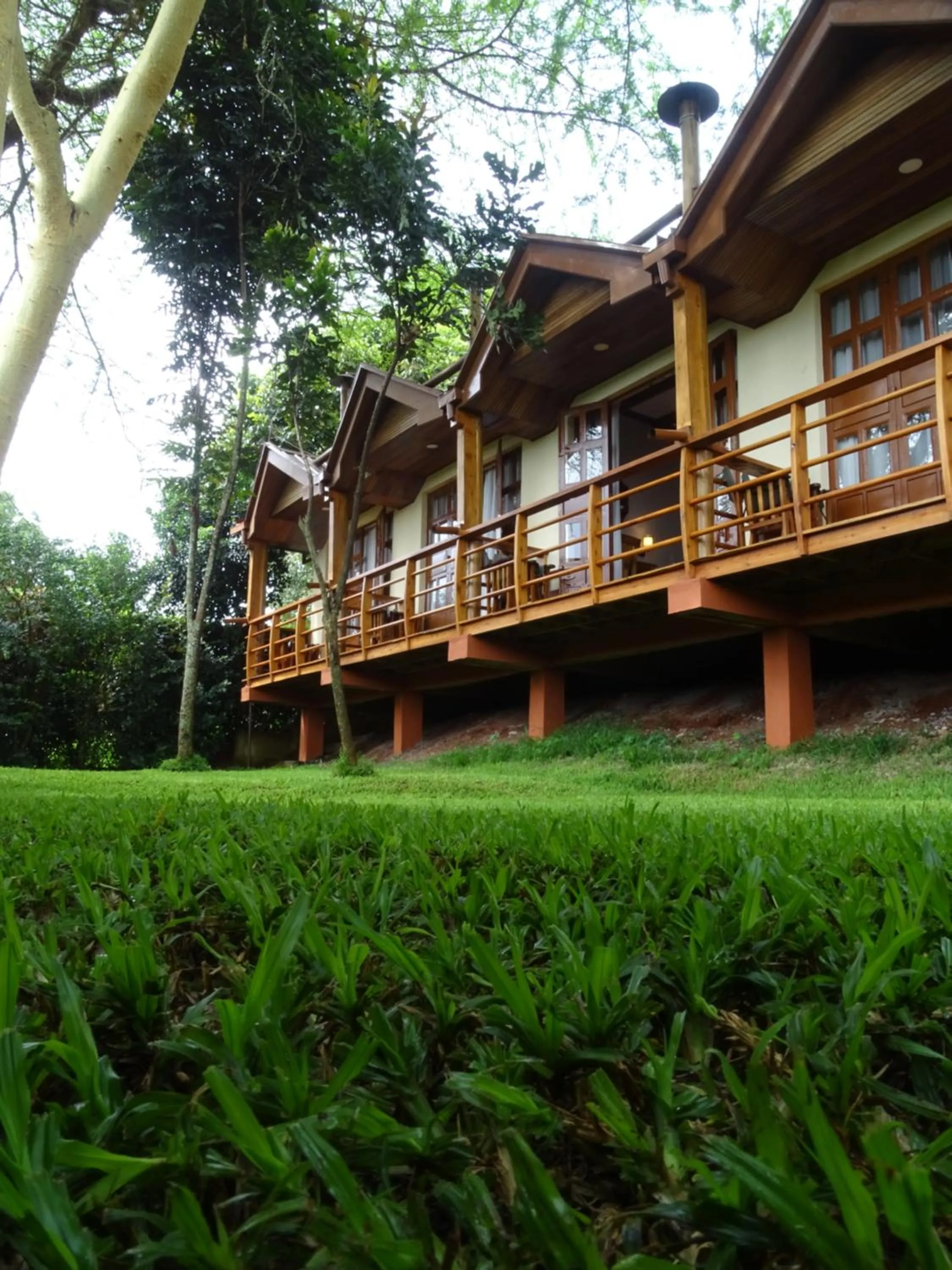 Garden in Le Pristine Wellness and Healing Hotel