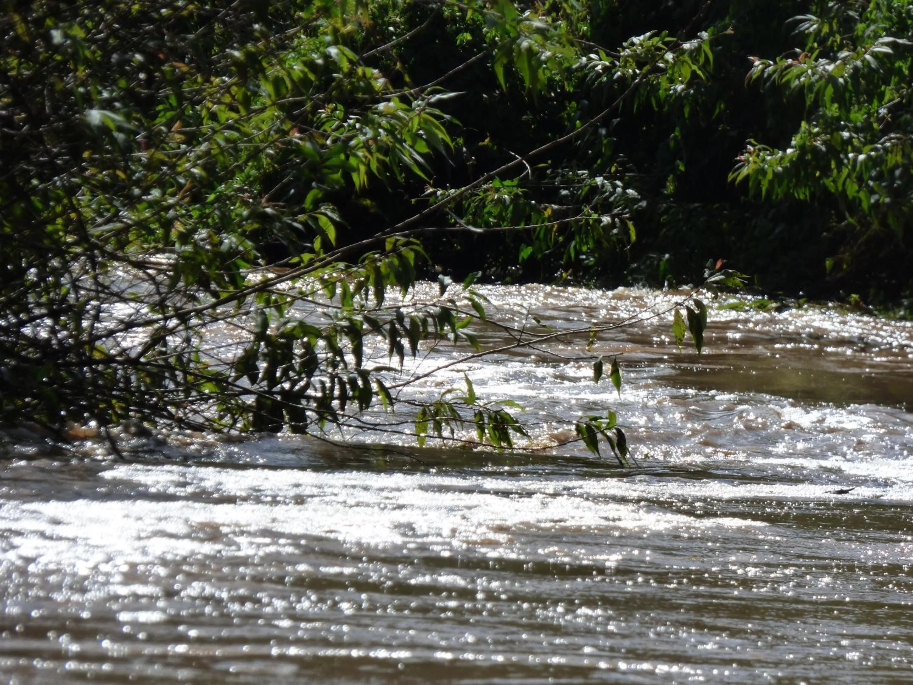 Spring in Le Pristine Wellness and Healing Hotel