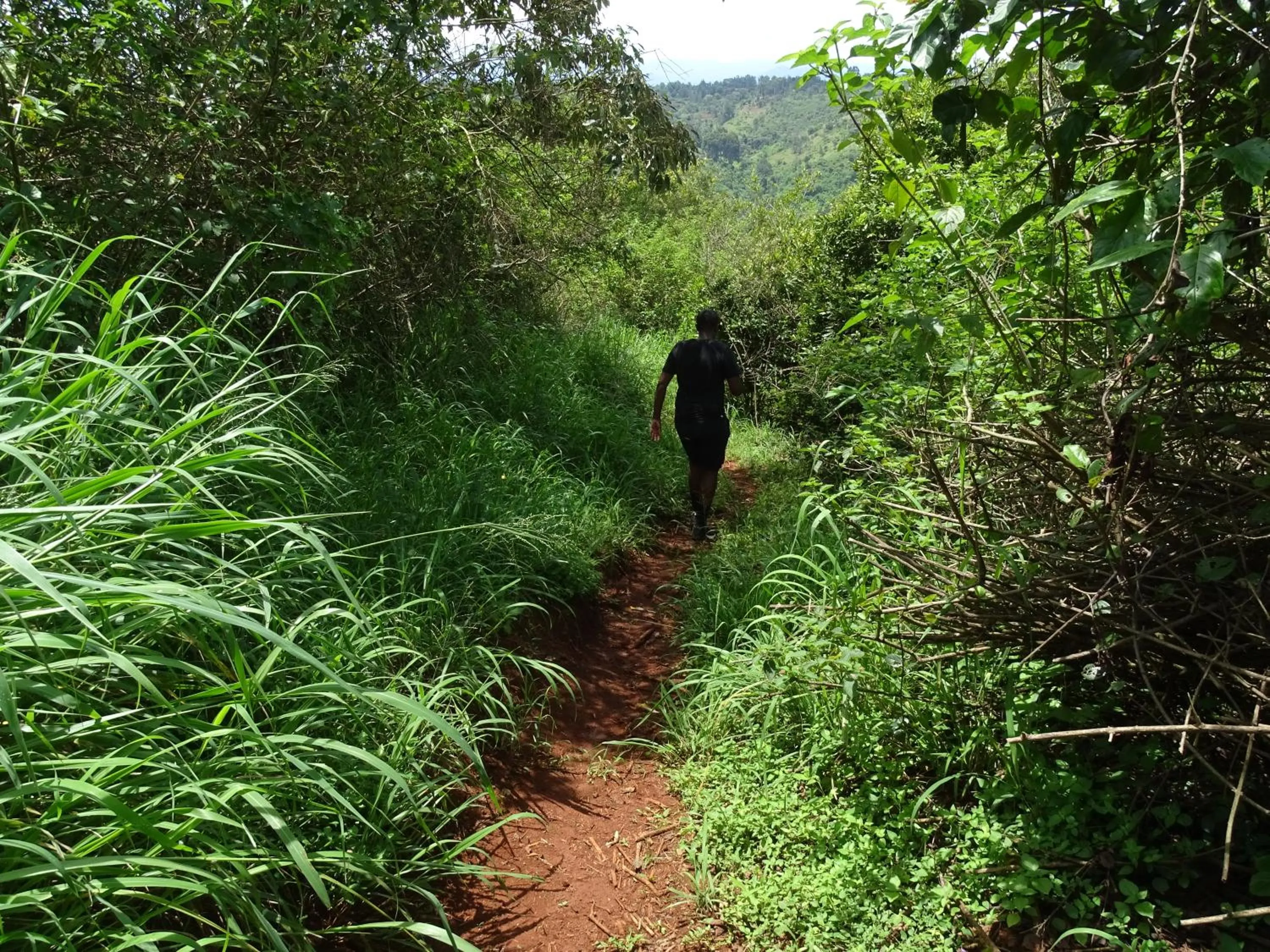 People in Le Pristine Wellness and Healing Hotel