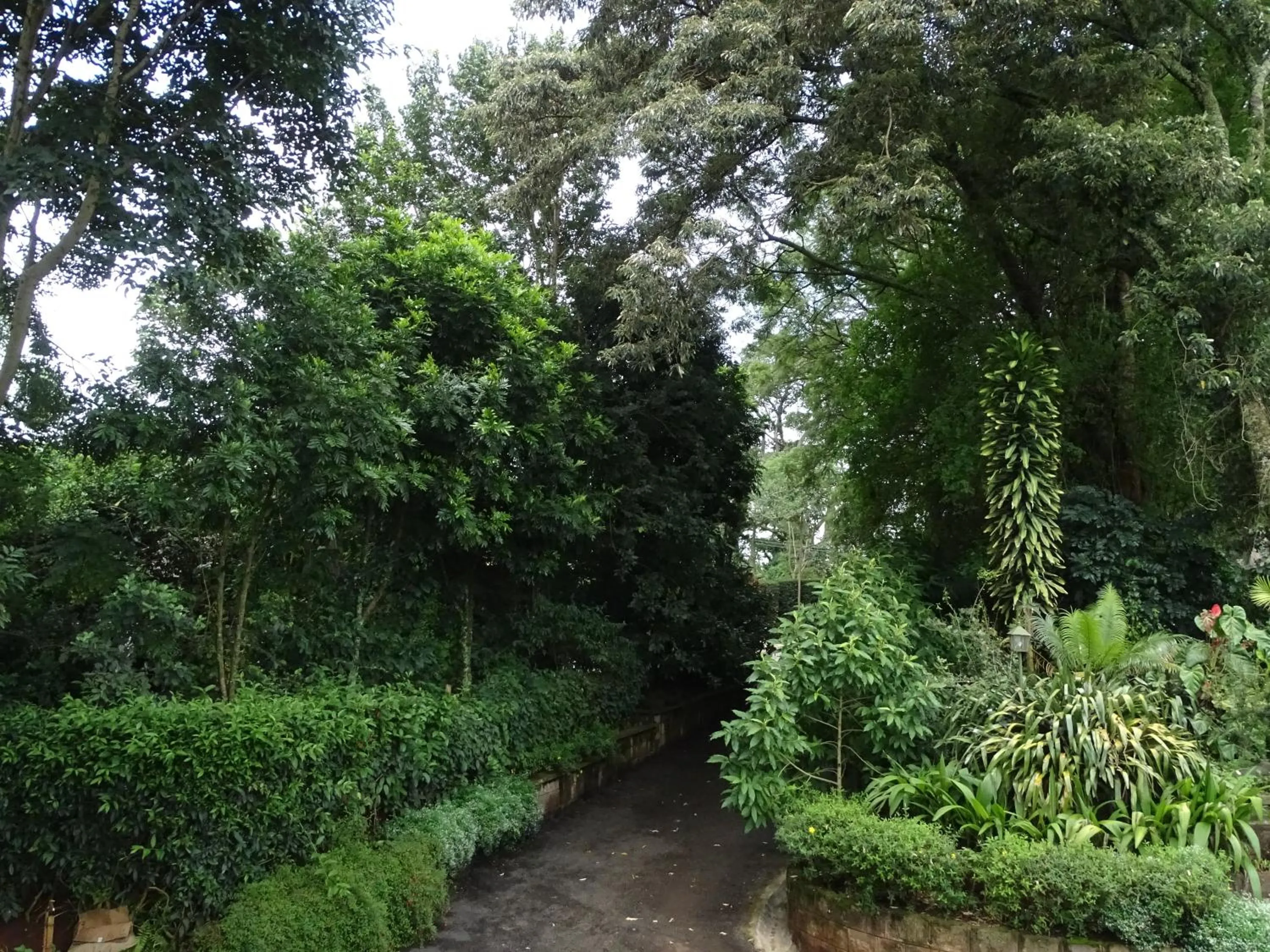 Garden in Le Pristine Wellness and Healing Hotel