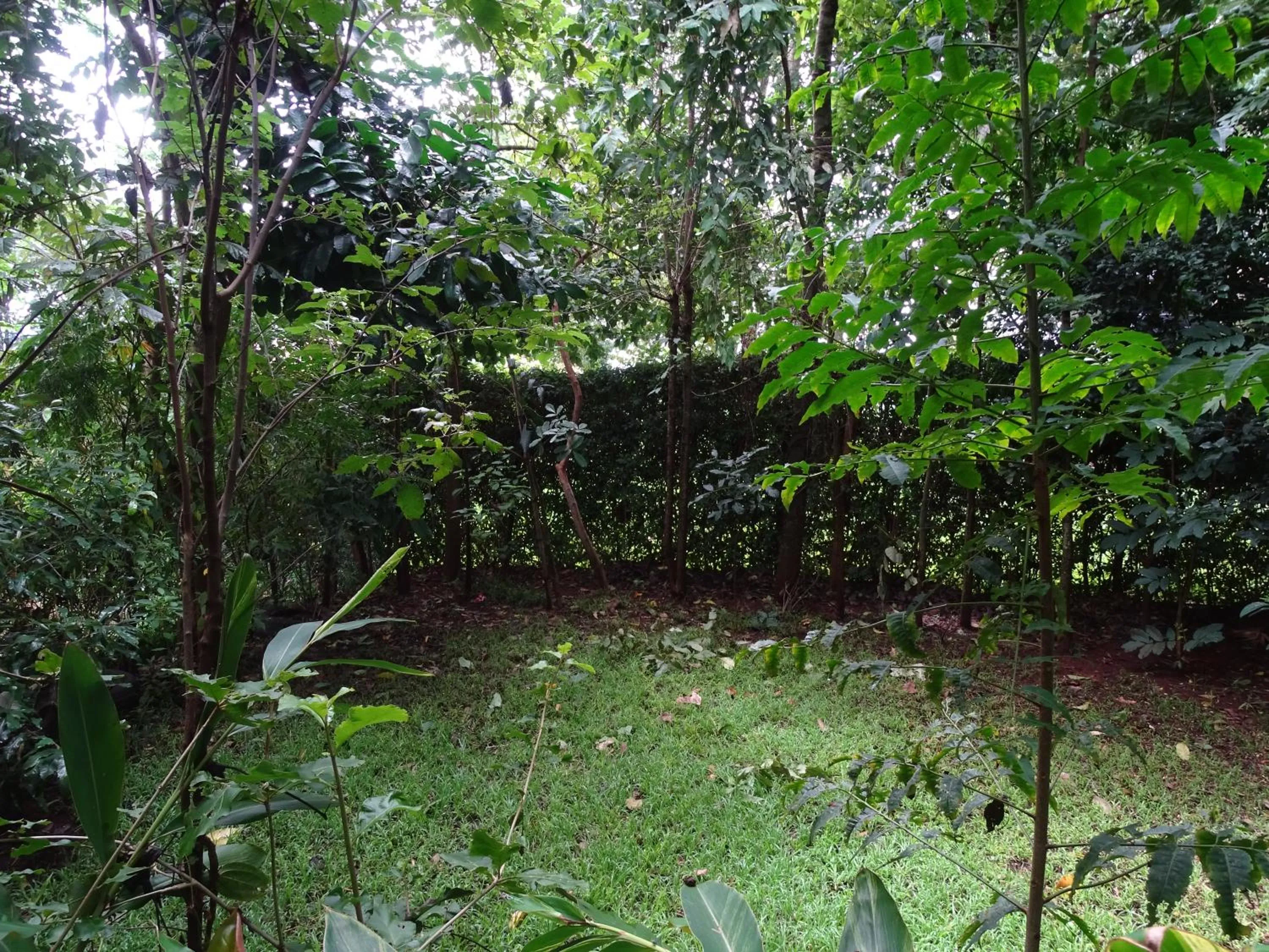 Day in Le Pristine Wellness and Healing Hotel