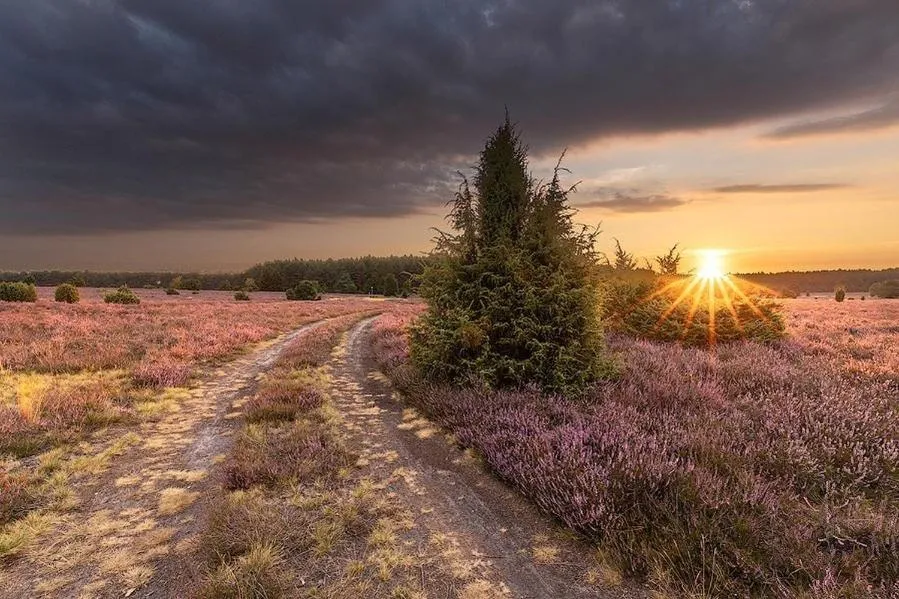 On site in Hotel Zur Heidschnucke