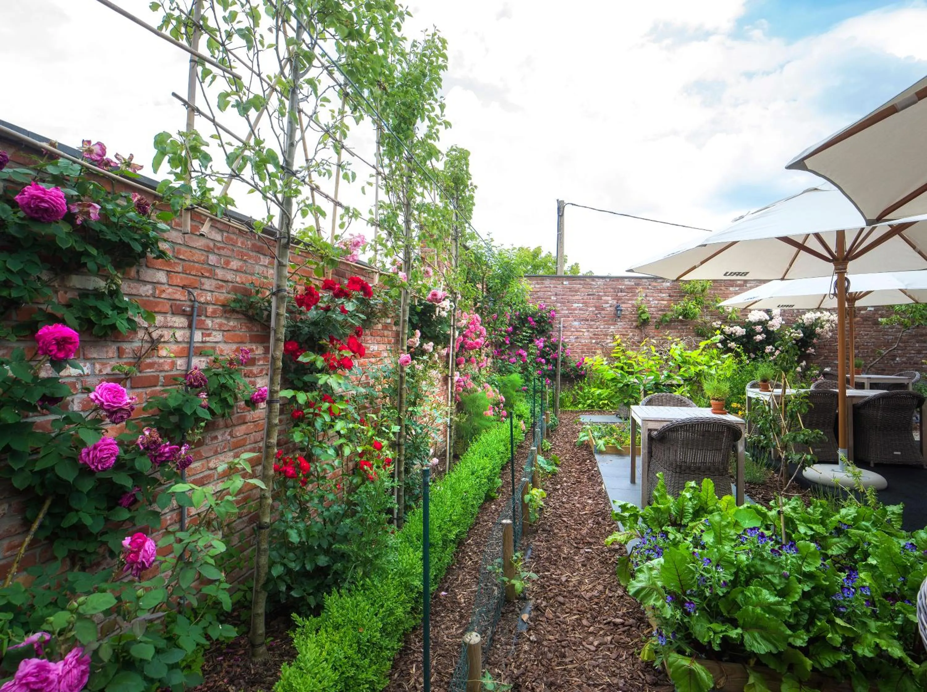 Restaurant/places to eat in Hotel Restaurant Vous lé Vous