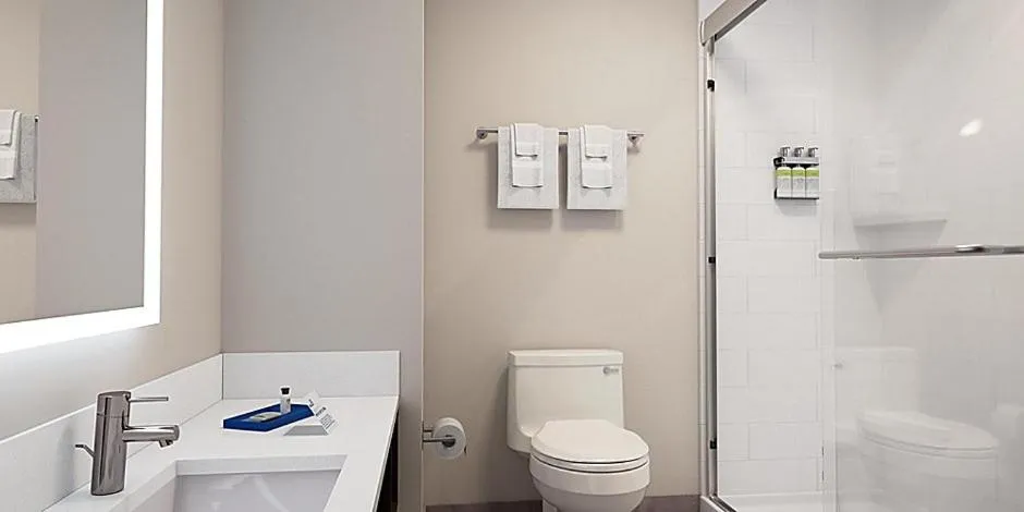 Bathroom in Holiday Inn Express & Suites - Harrisonburg University Area by IHG