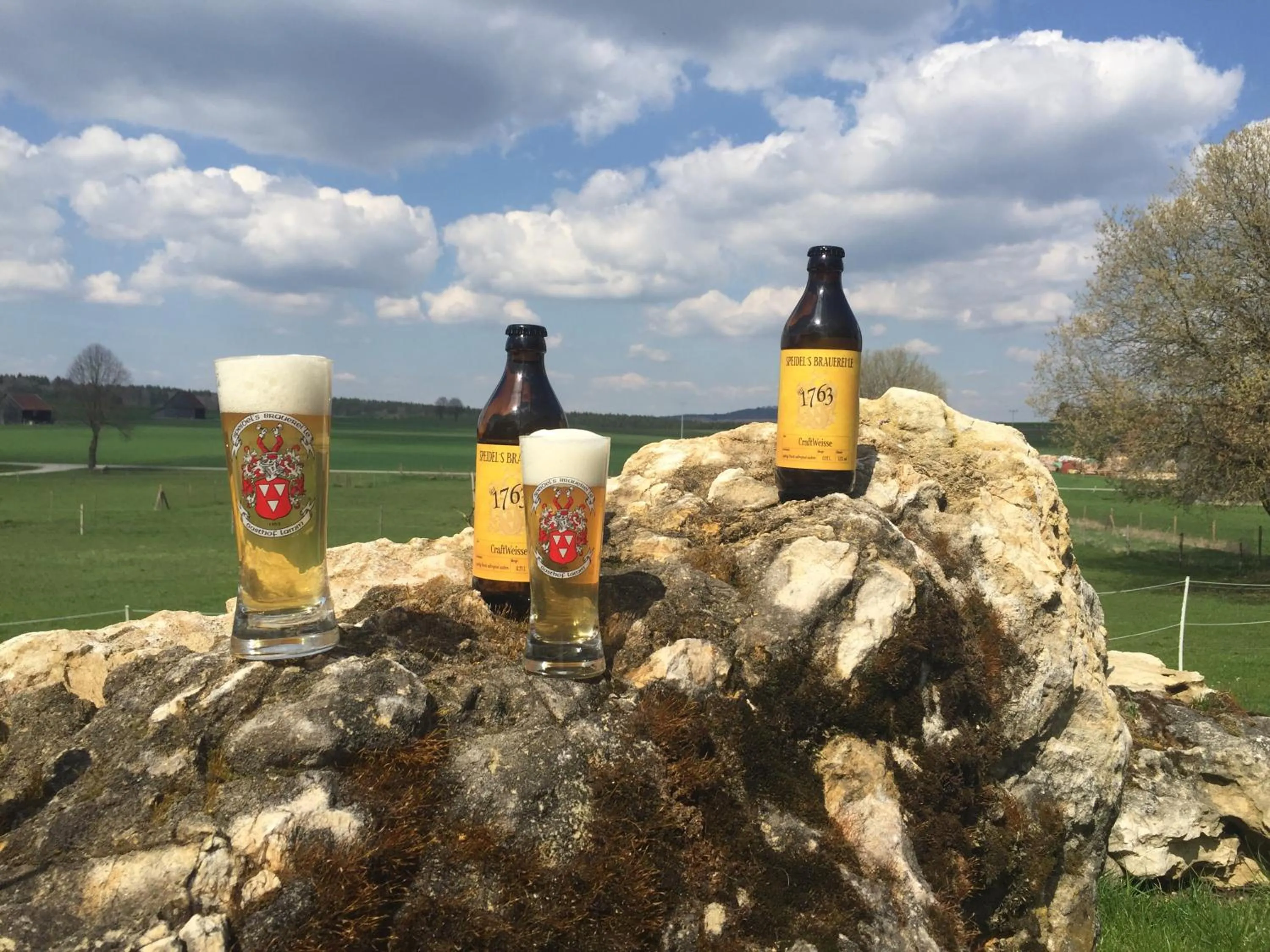 Alcoholic drinks in Speidel´s BrauManufaktur