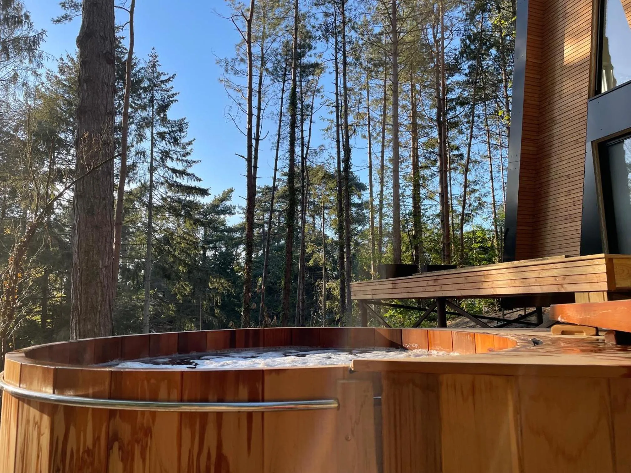 Garden in Bain de forêt - Lodges Cosy & Spa