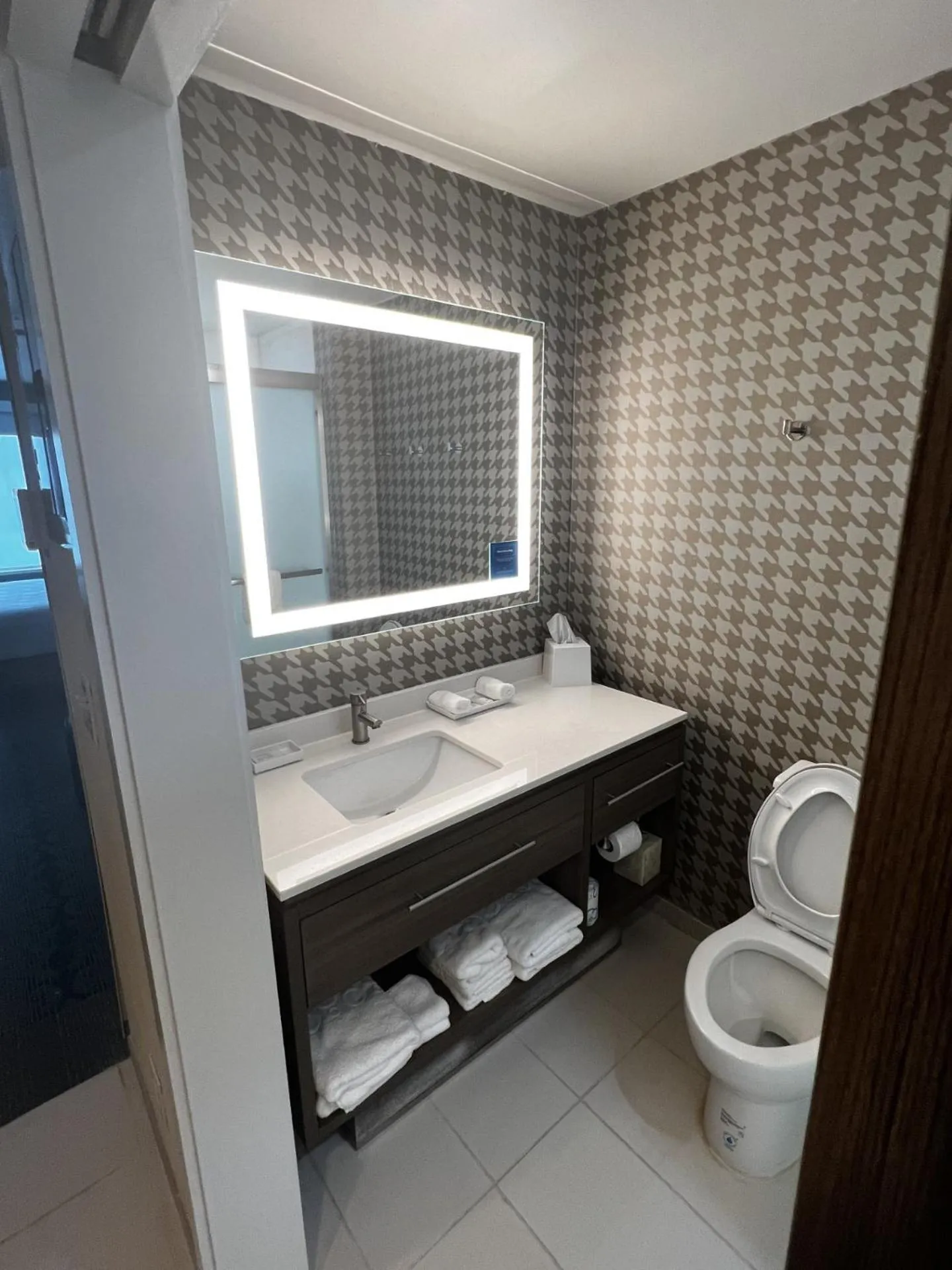 Toilet in Home2 Suites By Hilton Hinesville
